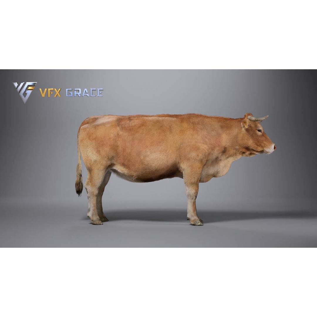 Cattle 3D Model – Realistic Rigged Character for Unreal Engine - View 10
