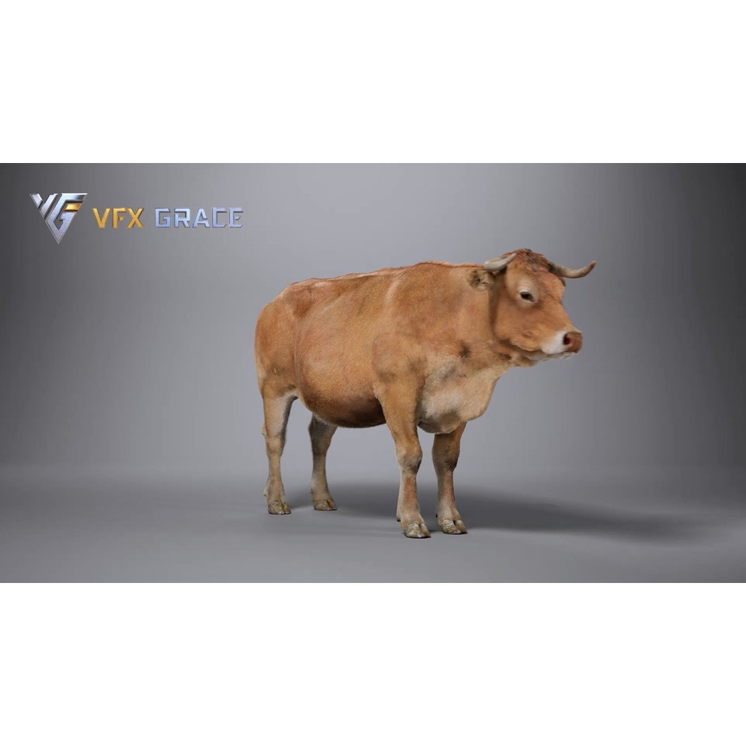 Cattle 3D Model – Realistic Rigged Character for Unreal Engine - View 11
