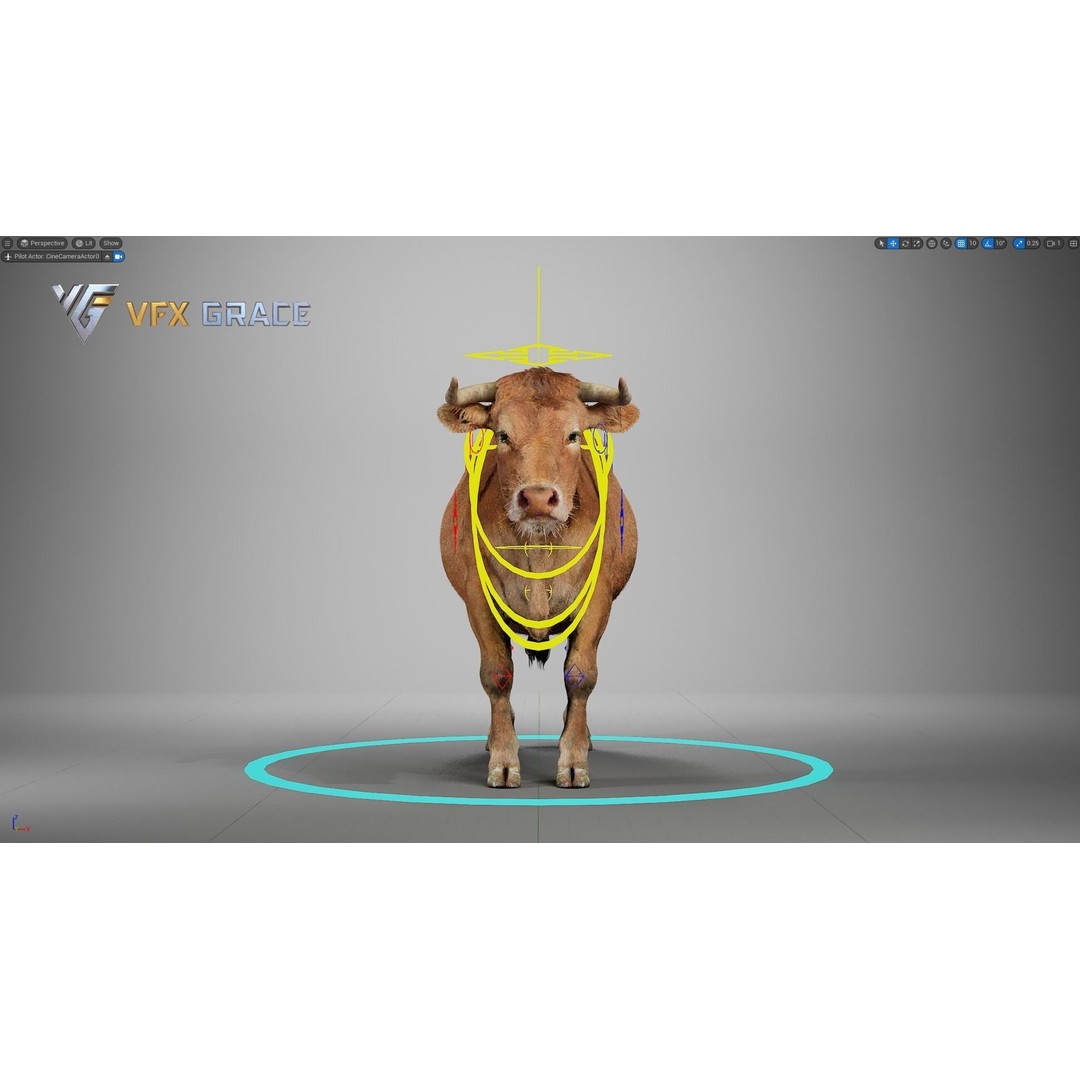 Cattle 3D Model – Realistic Rigged Character for Unreal Engine - View 12
