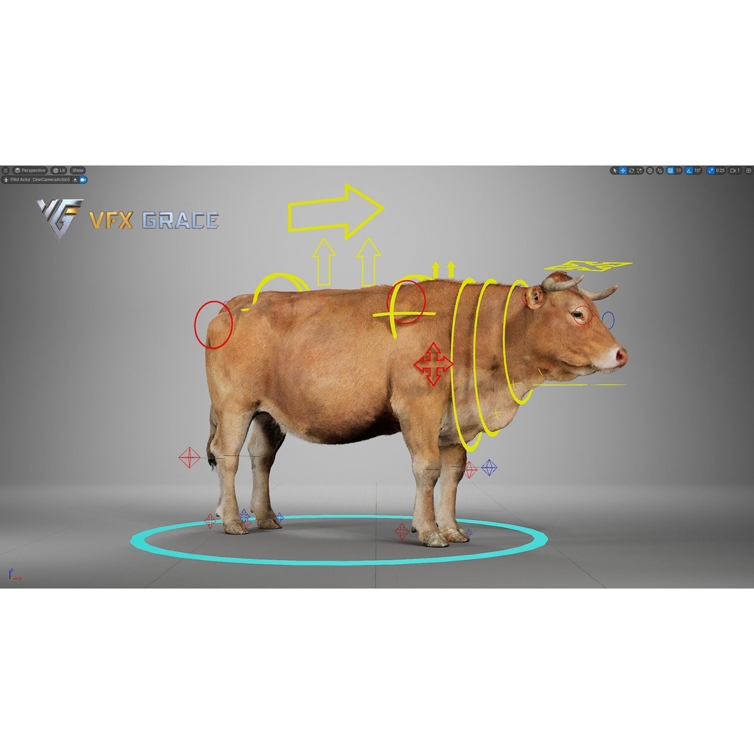 Cattle 3D Model – Realistic Rigged Character for Unreal Engine - View 13