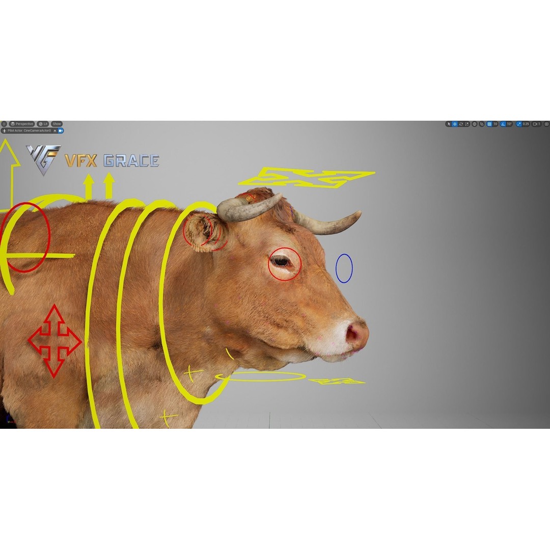 Cattle 3D Model – Realistic Rigged Character for Unreal Engine - View 14