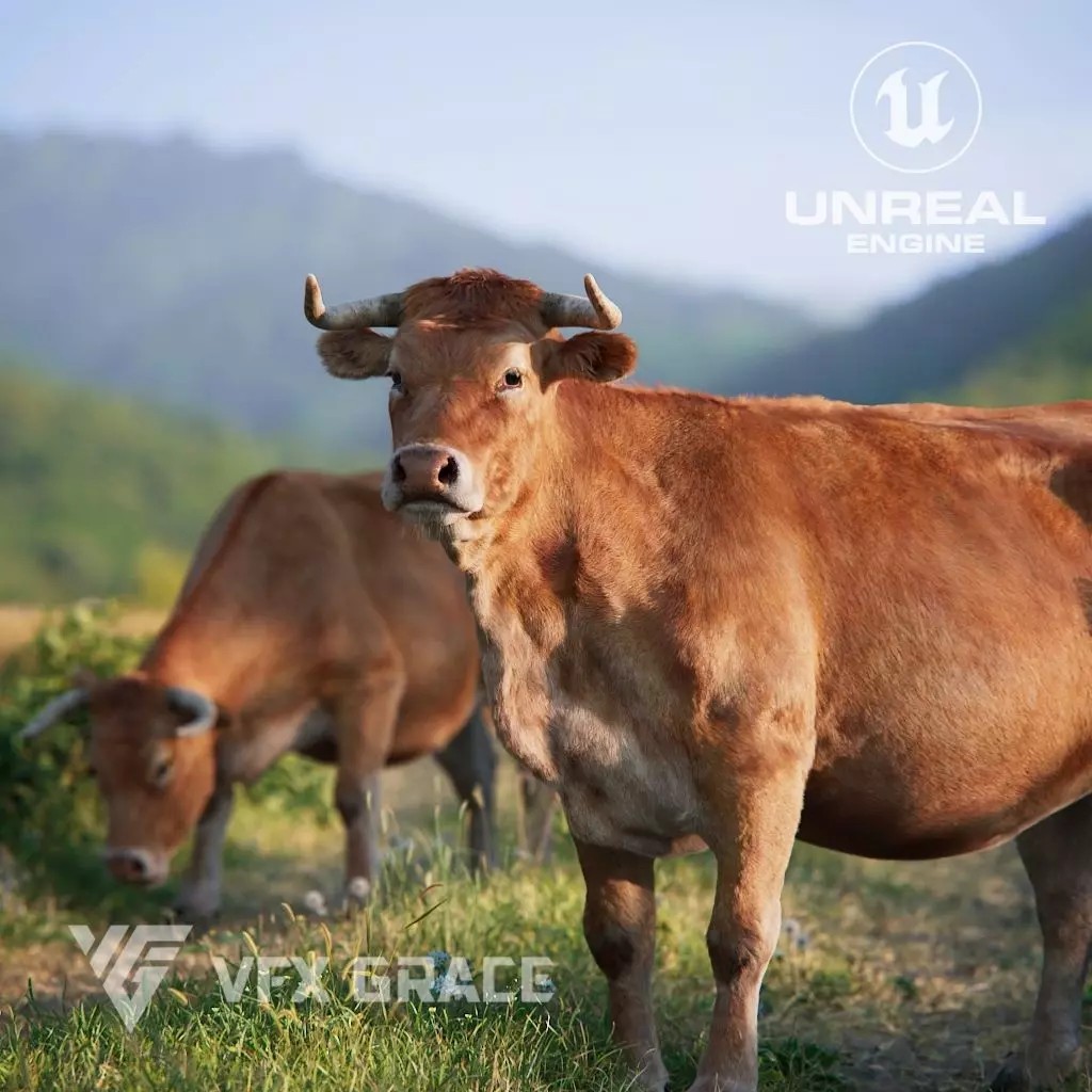 Cattle 3D Model – Realistic Rigged Character for Unreal Engine - View 2
