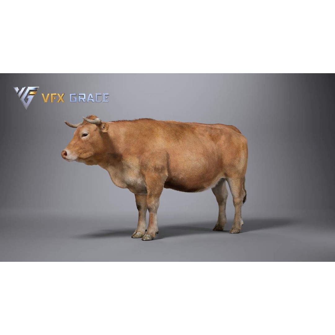 Cattle 3D Model – Realistic Rigged Character for Unreal Engine - View 6