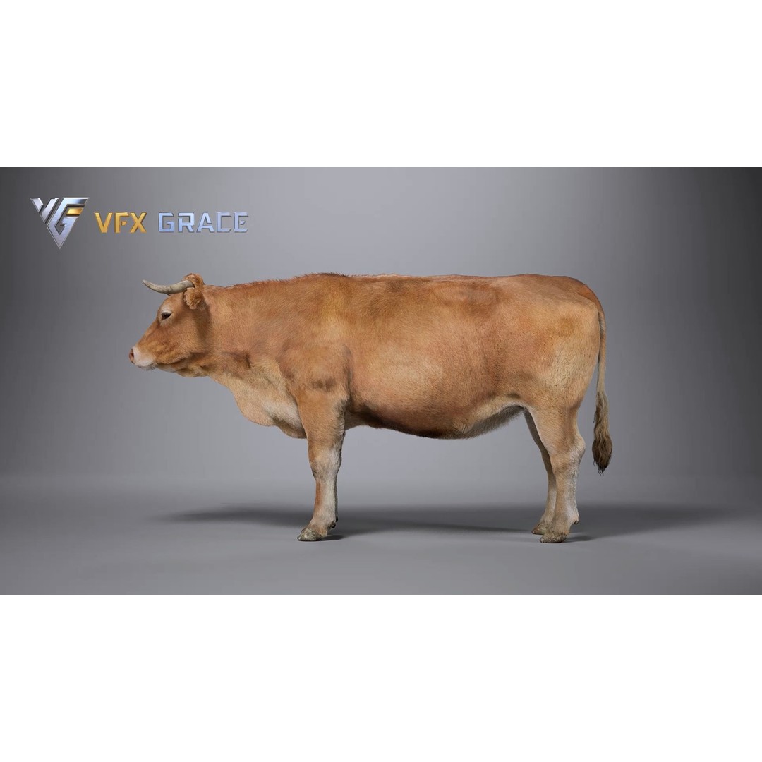 Cattle 3D Model – Realistic Rigged Character for Unreal Engine - View 7