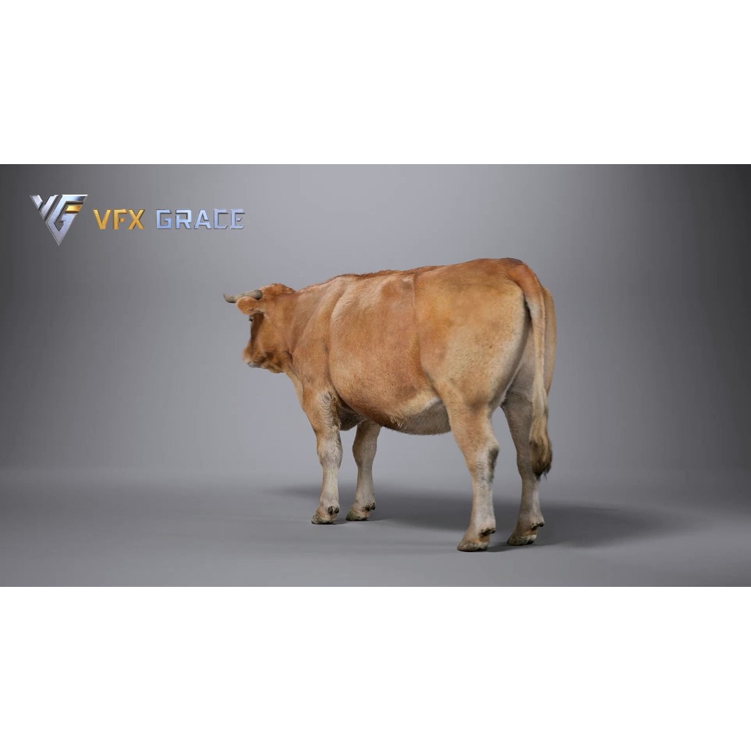 Cattle 3D Model – Realistic Rigged Character for Unreal Engine - View 8