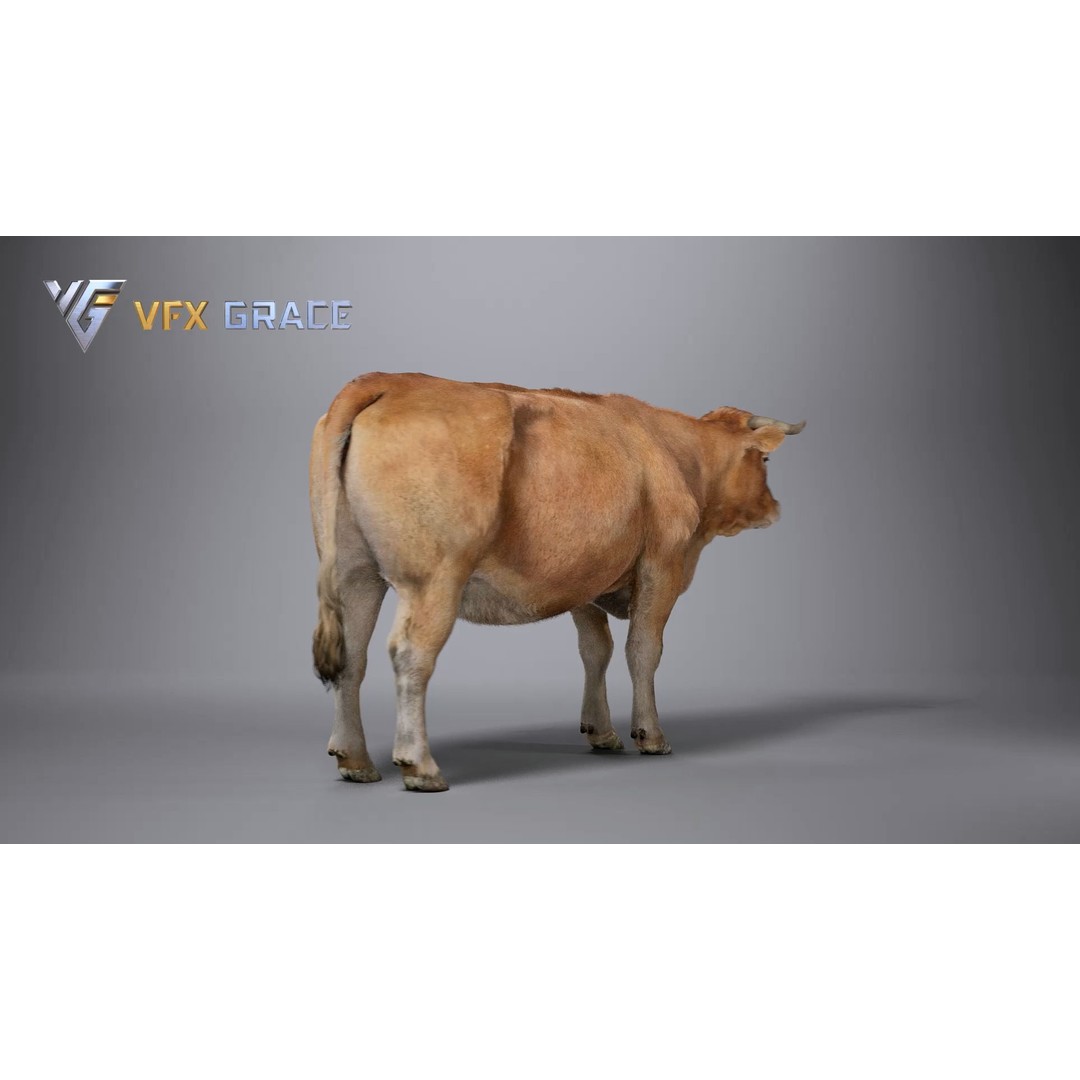 Cattle 3D Model – Realistic Rigged Character for Unreal Engine - View 9