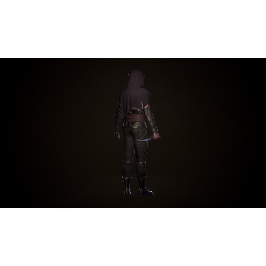 Rogue Azarain 3D Model – Low Poly Modular Character for Unity & Unreal - View 4