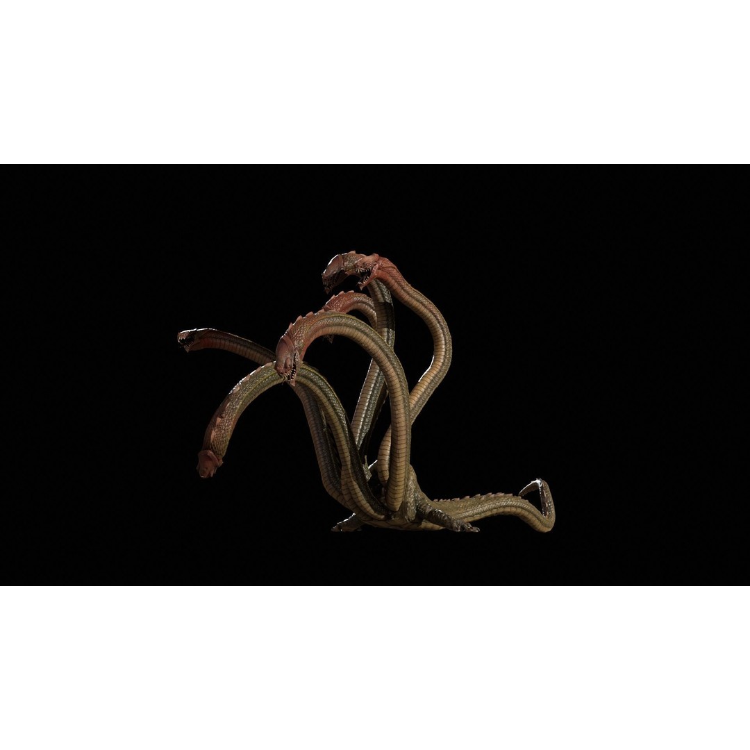 Hydra 3D Model – Low Poly Character with Animations, FBX - View 11