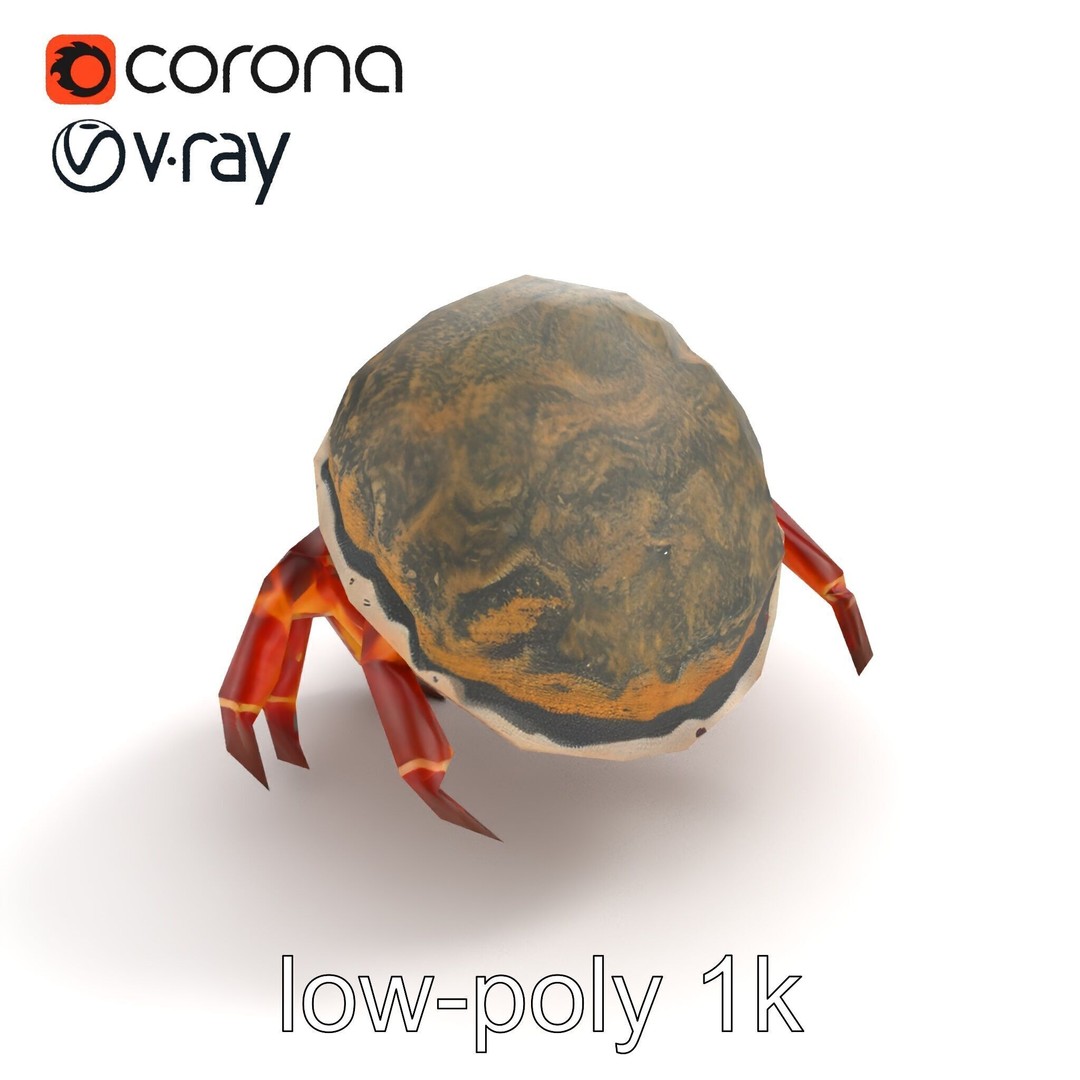 Hermit Crab 3D Model – Low Poly Marine Creature Pack, FBX - View 10