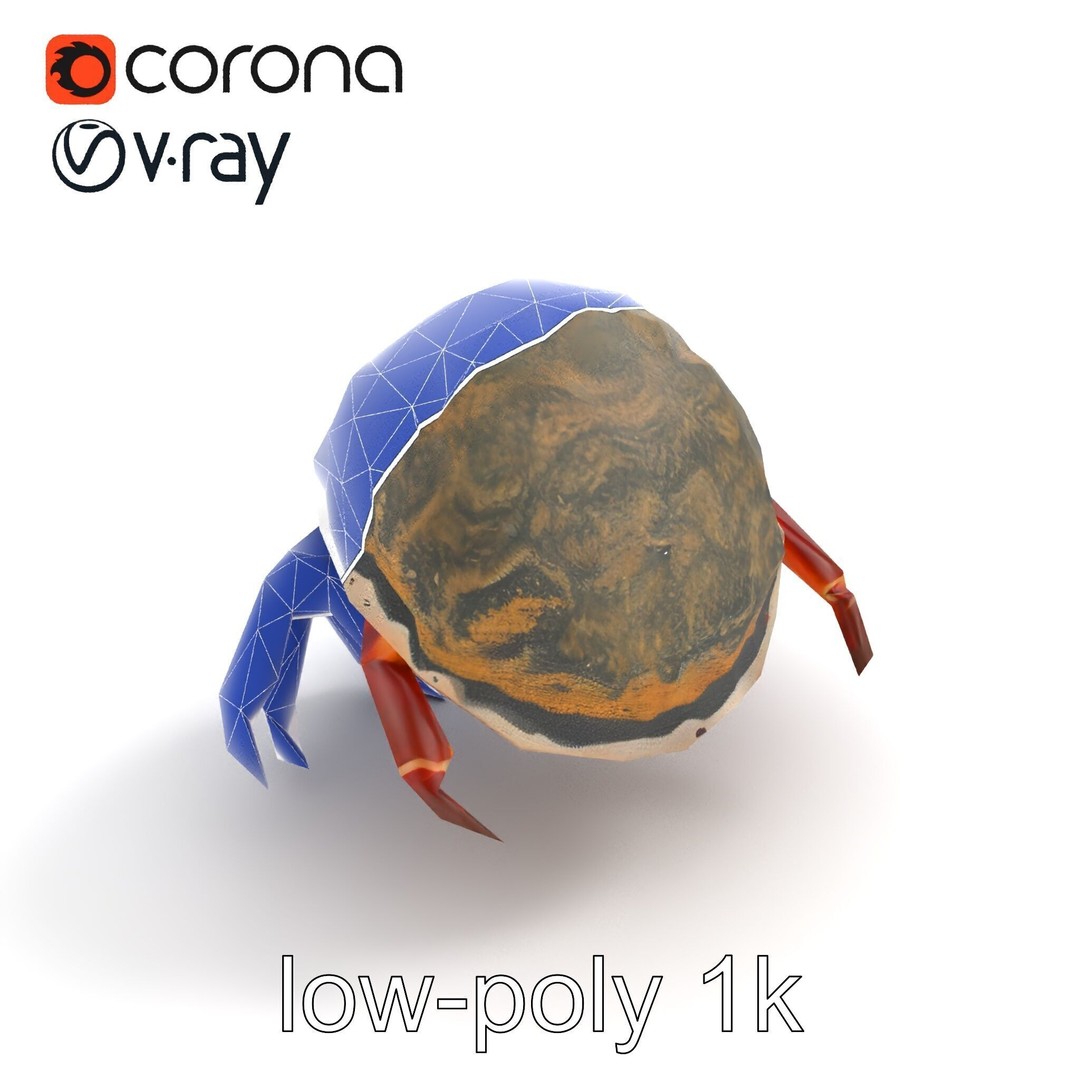 Hermit Crab 3D Model – Low Poly Marine Creature Pack, FBX - View 15