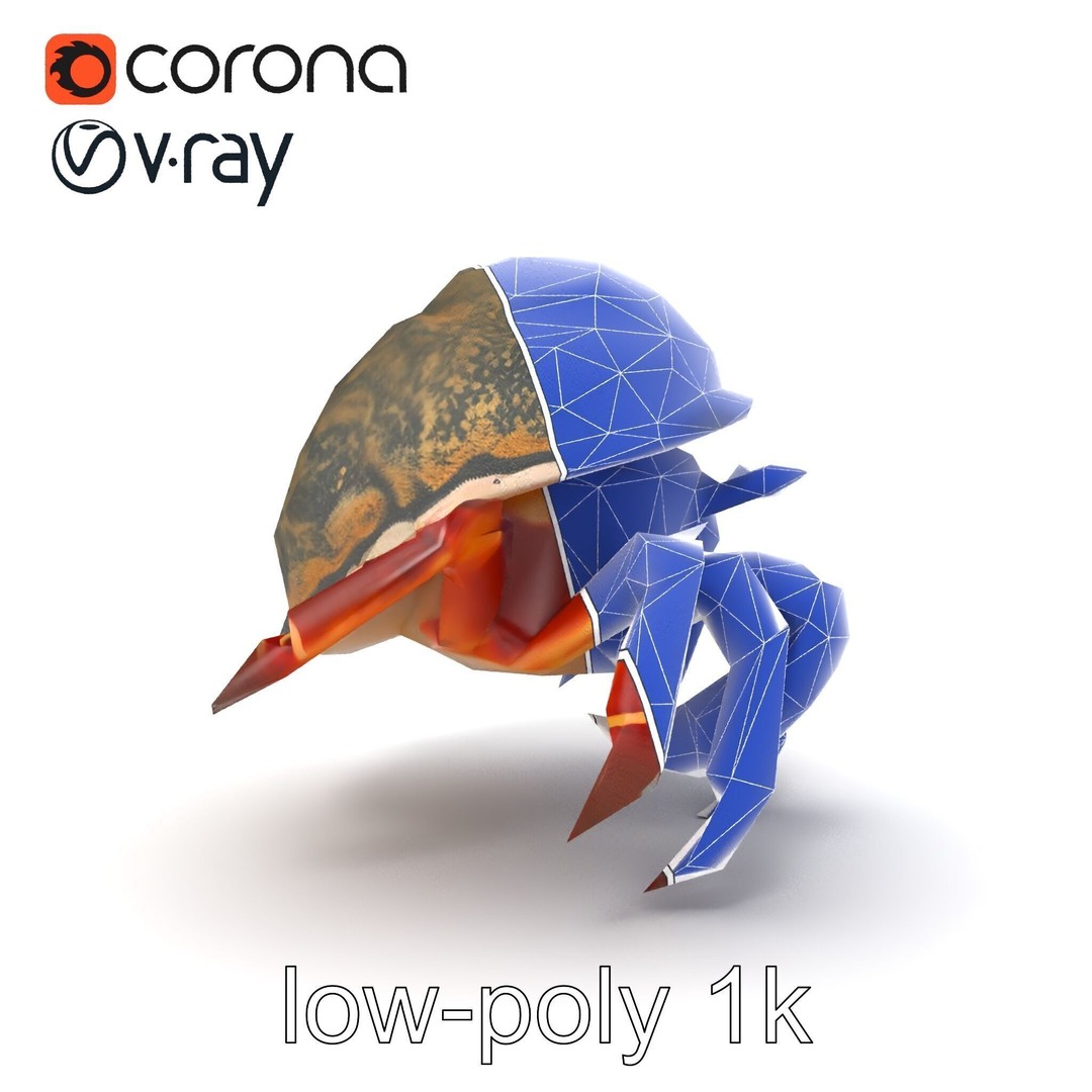 Hermit Crab 3D Model – Low Poly Marine Creature Pack, FBX - View 19