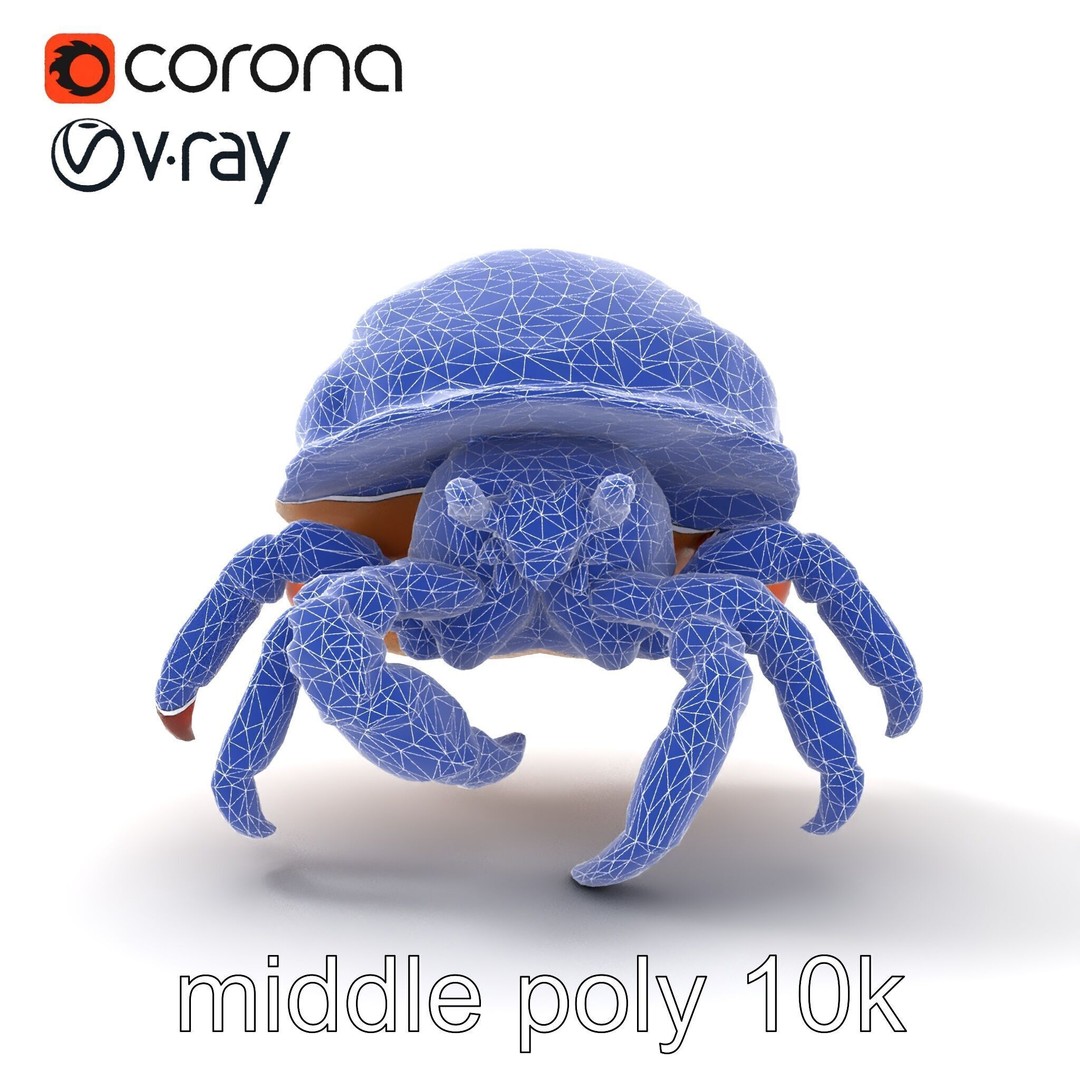 Hermit Crab 3D Model – Low Poly Marine Creature Pack, FBX - View 21