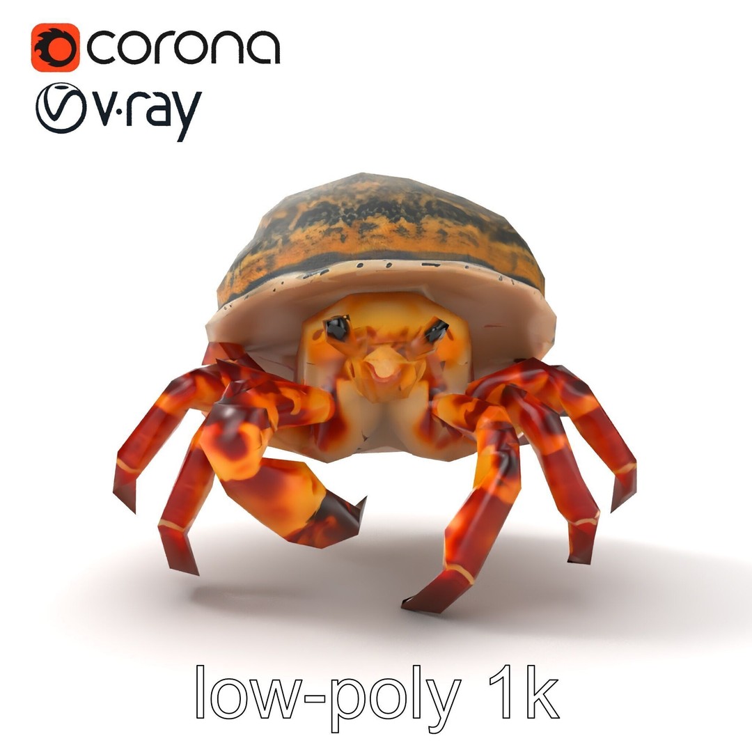 Hermit Crab 3D Model – Low Poly Marine Creature Pack, FBX - View 22