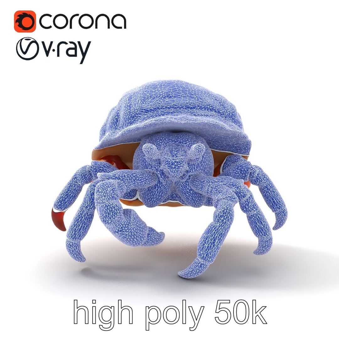 Hermit Crab 3D Model – Low Poly Marine Creature Pack, FBX - View 24