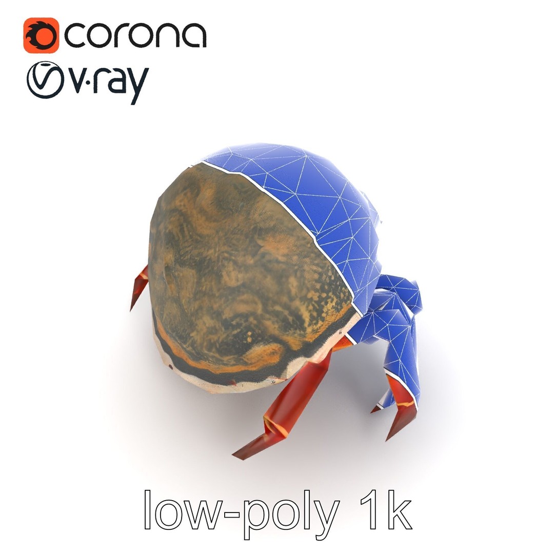 Hermit Crab 3D Model – Low Poly Marine Creature Pack, FBX - View 26