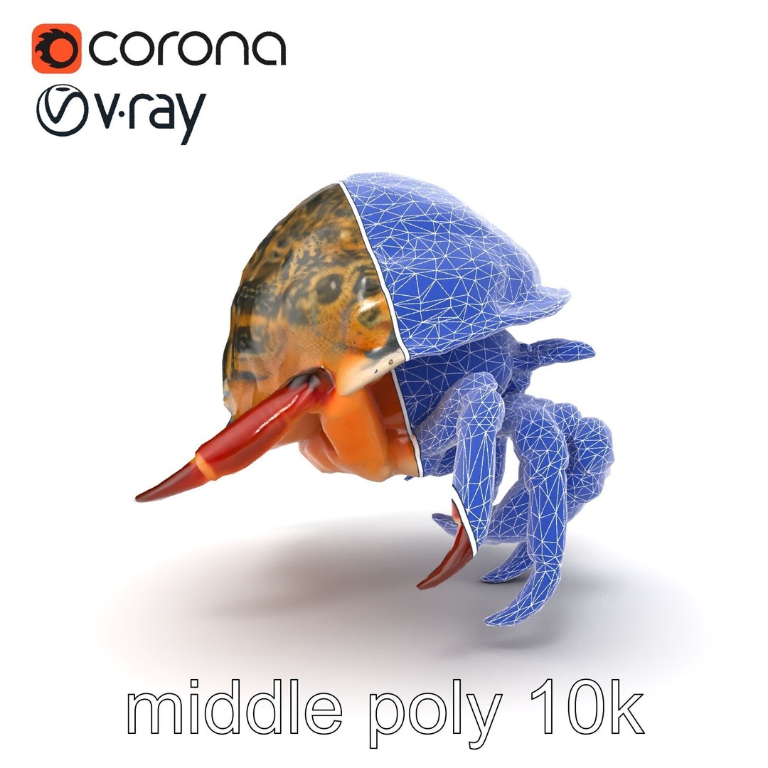 Hermit Crab 3D Model – Low Poly Marine Creature Pack, FBX - View 27