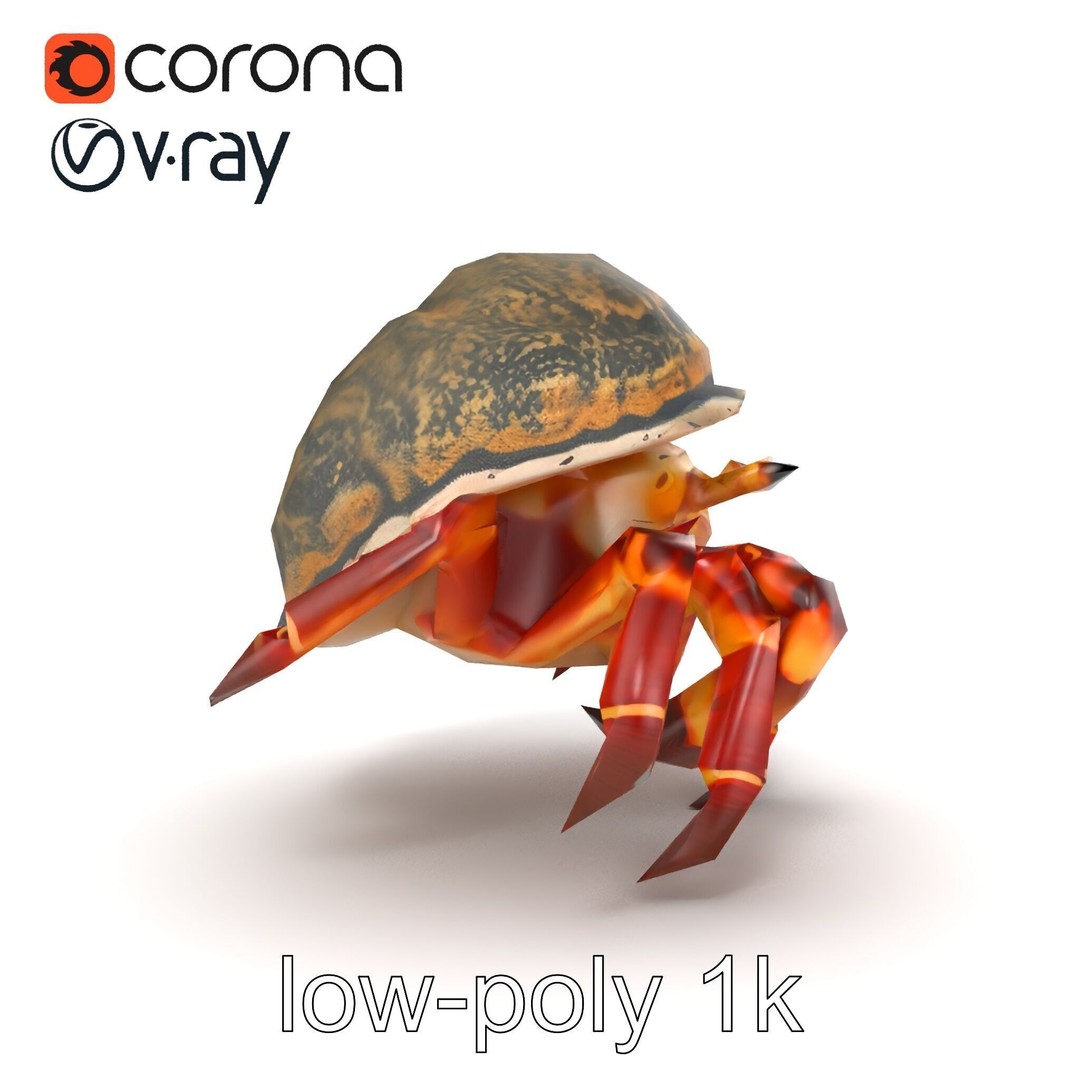 Hermit Crab 3D Model – Low Poly Marine Creature Pack, FBX - View 29