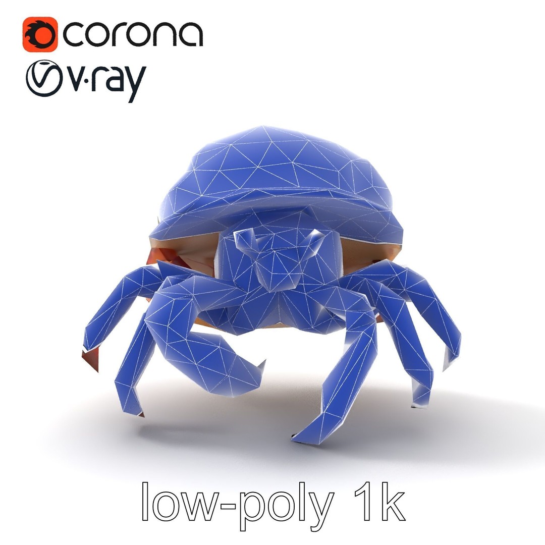 Hermit Crab 3D Model – Low Poly Marine Creature Pack, FBX - View 30