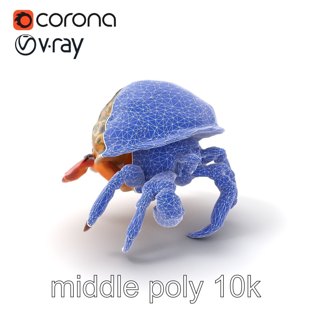 Hermit Crab 3D Model – Low Poly Marine Creature Pack, FBX - View 7