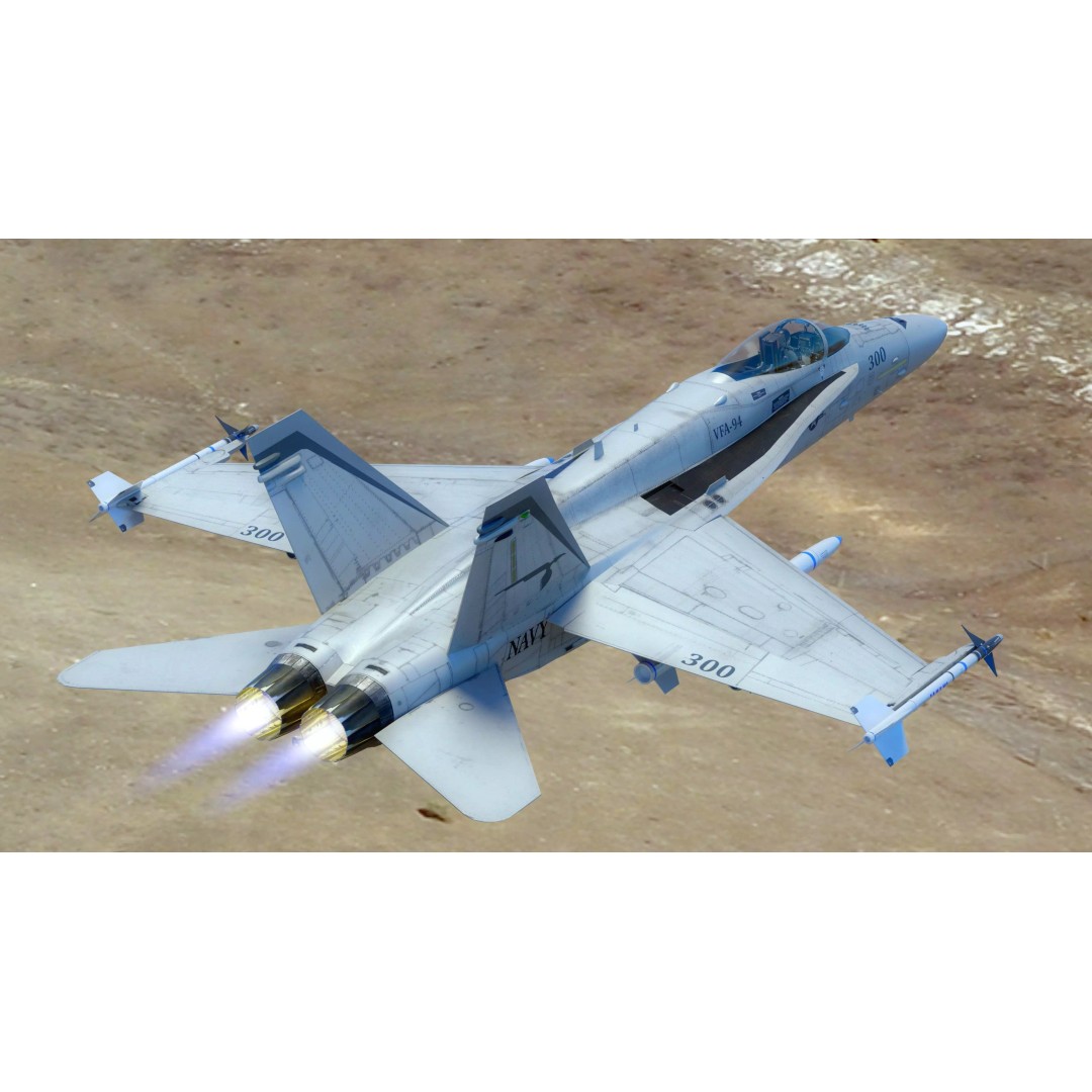 F/A 18 Hornet 3D Model – Fully Rigged Low Poly Aircraft for Animation - View 9