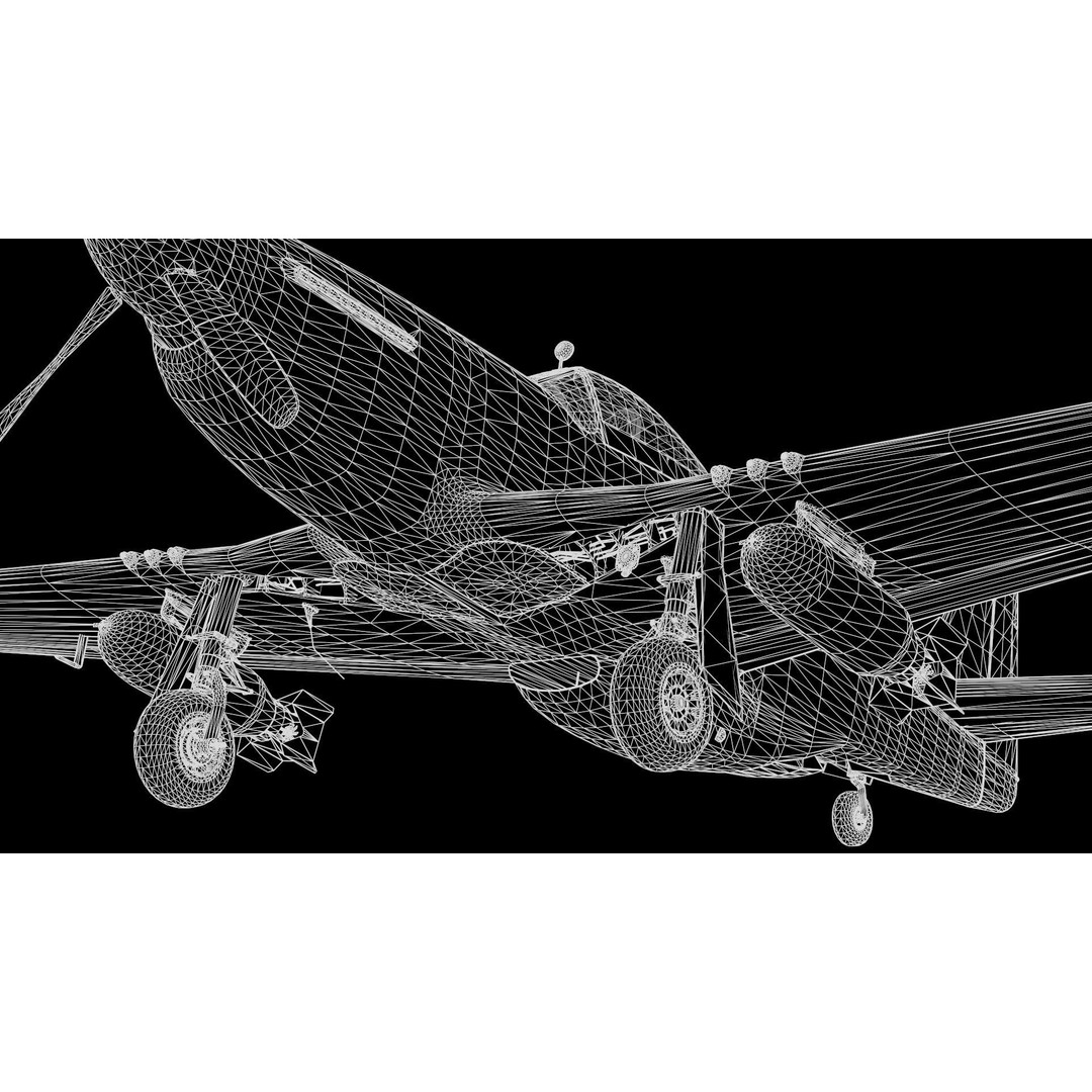 P51D Mustang 3D Model – High Poly Military Aircraft, FBX