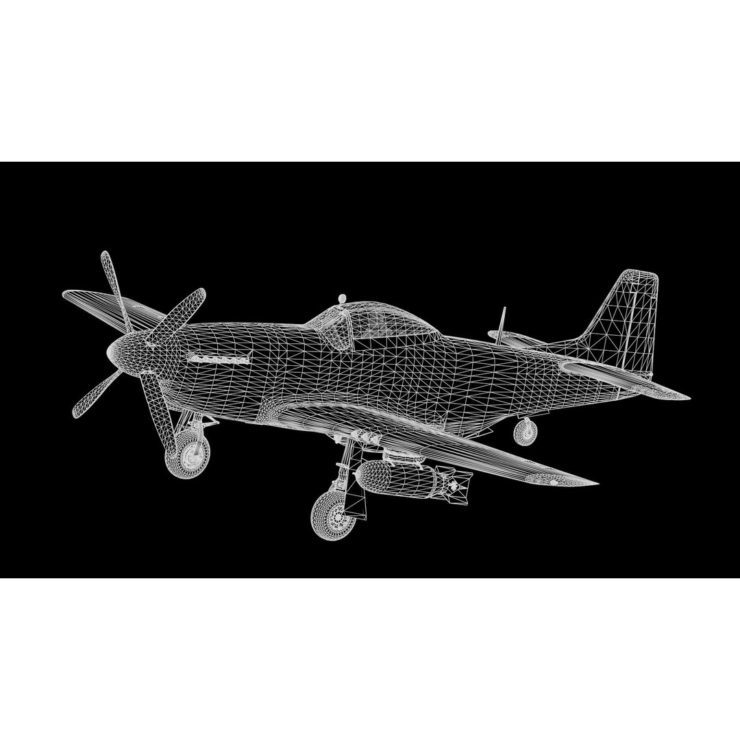 P51D Mustang 3D Model – High Poly Military Aircraft, FBX - View 17
