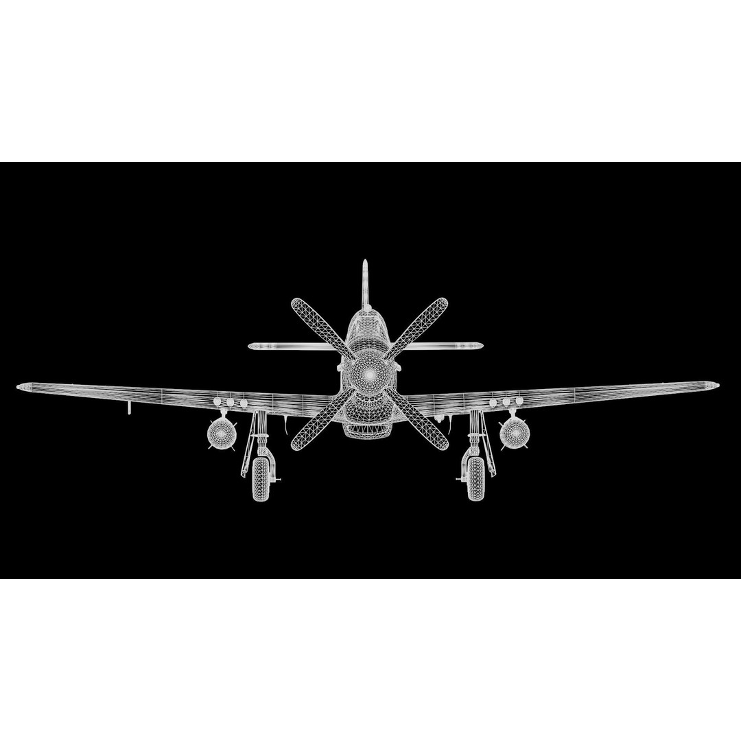 P51D Mustang 3D Model – High Poly Military Aircraft, FBX - View 18