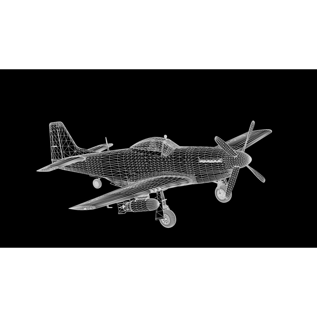 P51D Mustang 3D Model – High Poly Military Aircraft, FBX - View 19