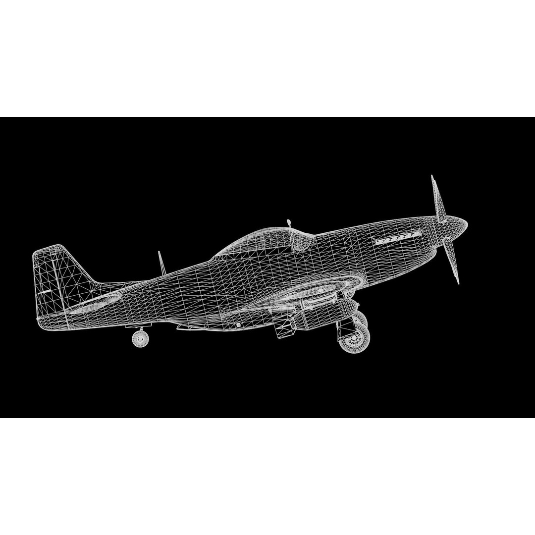 P51D Mustang 3D Model – High Poly Military Aircraft, FBX - View 20