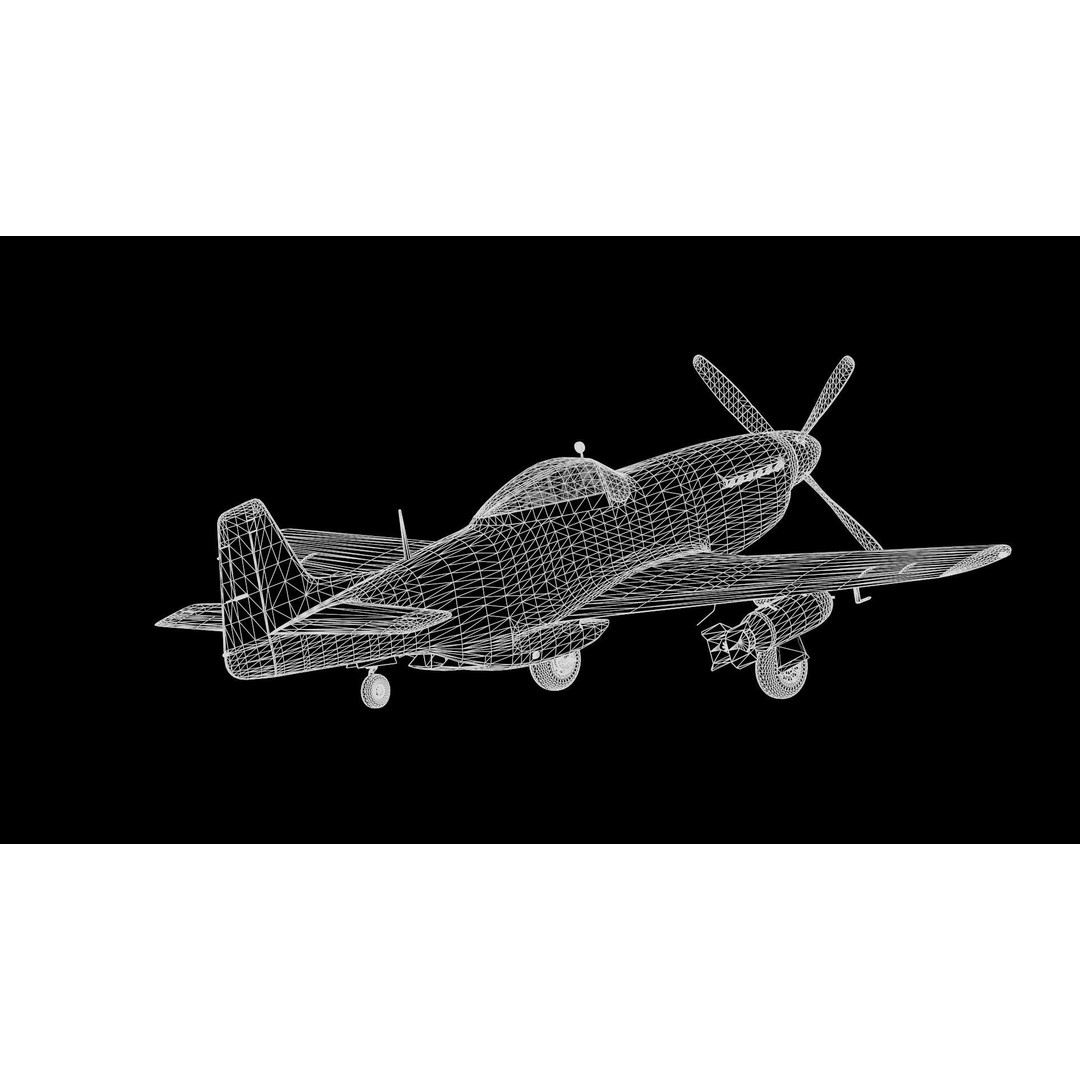 P51D Mustang 3D Model – High Poly Military Aircraft, FBX - View 21