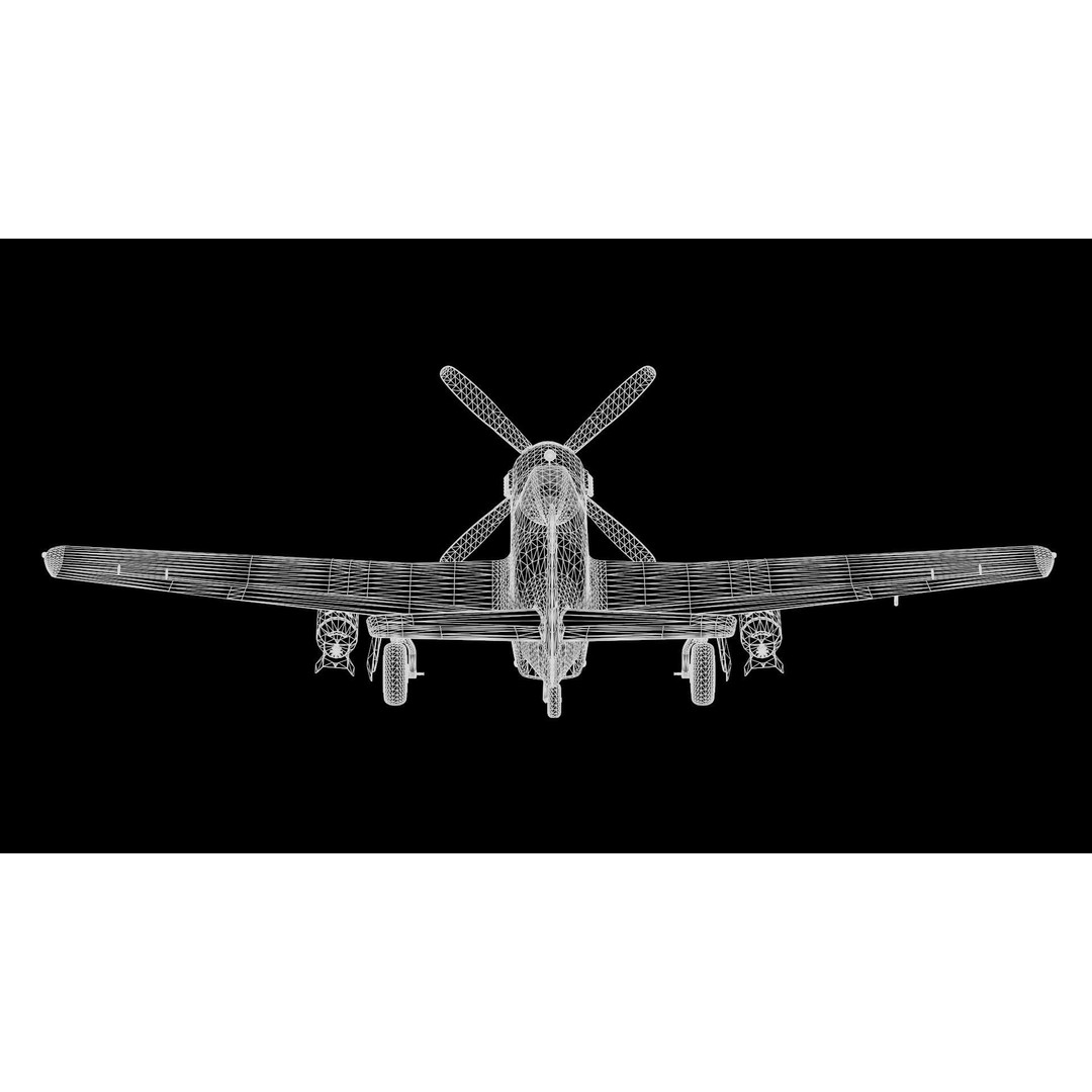 P51D Mustang 3D Model – High Poly Military Aircraft, FBX - View 22
