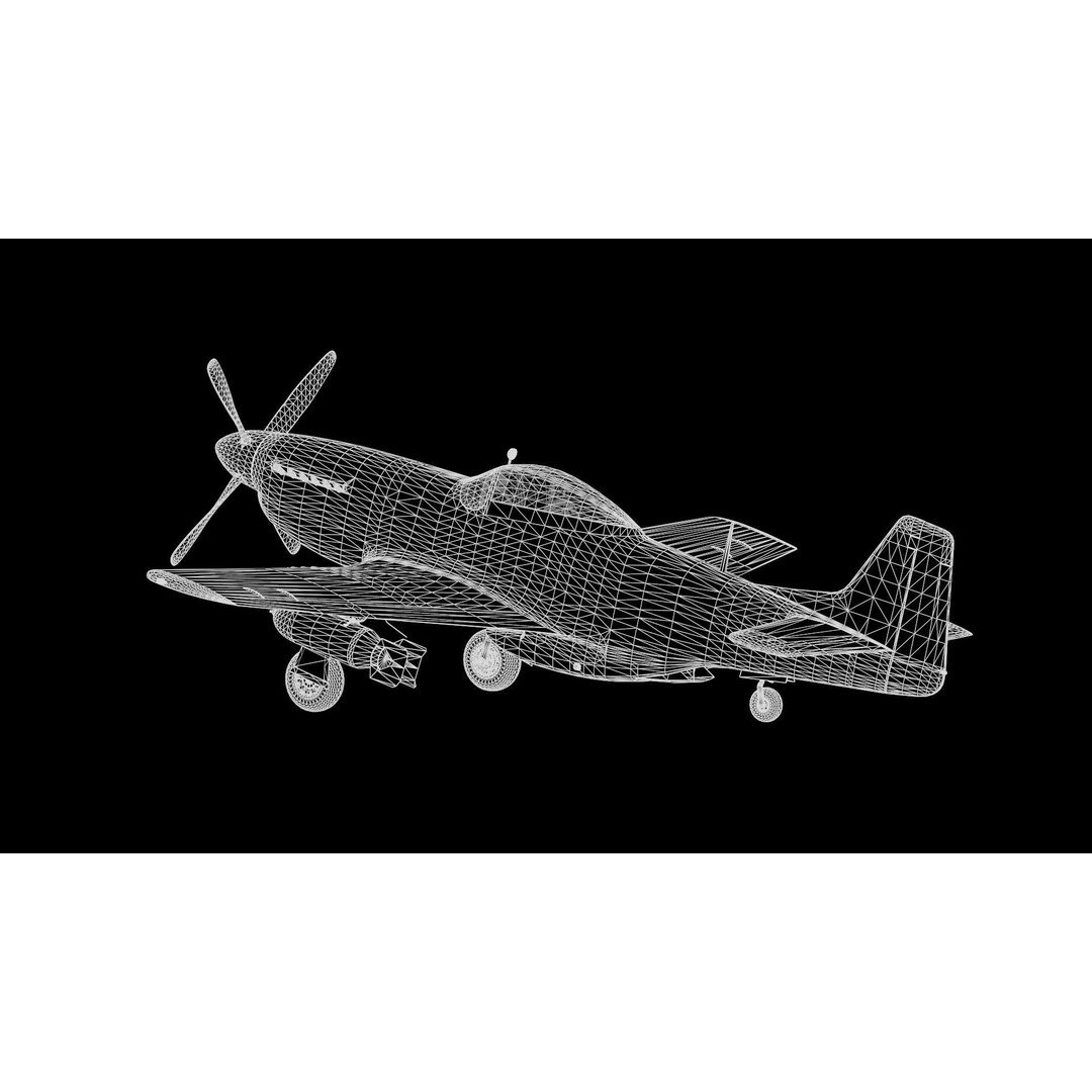 P51D Mustang 3D Model – High Poly Military Aircraft, FBX - View 23