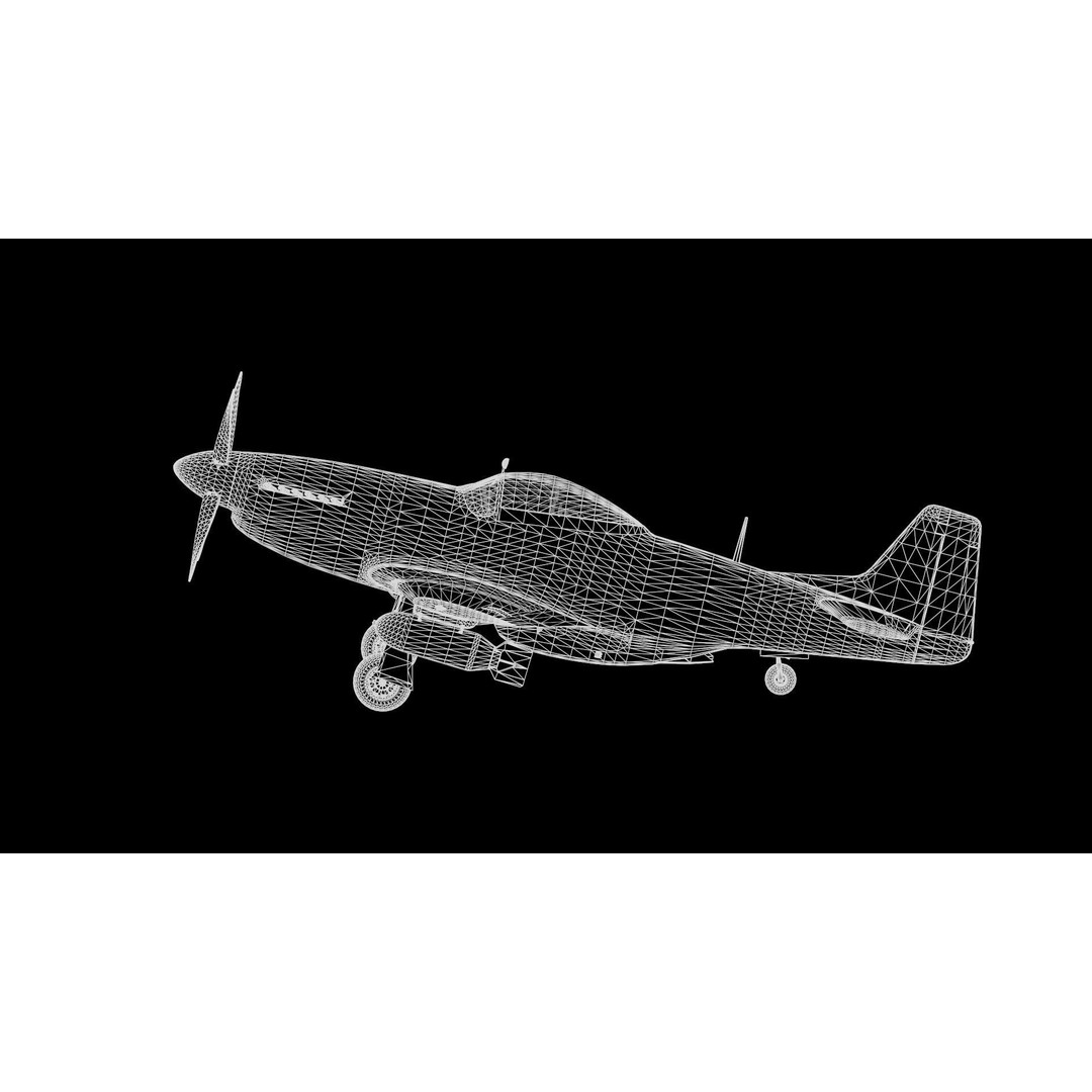 P51D Mustang 3D Model – High Poly Military Aircraft, FBX - View 24