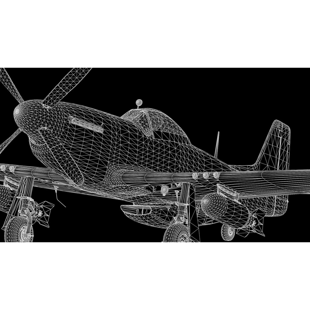 P51D Mustang 3D Model – High Poly Military Aircraft, FBX - View 26