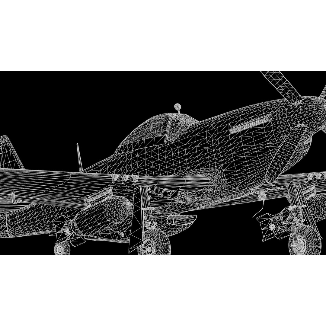 P51D Mustang 3D Model – High Poly Military Aircraft, FBX - View 27