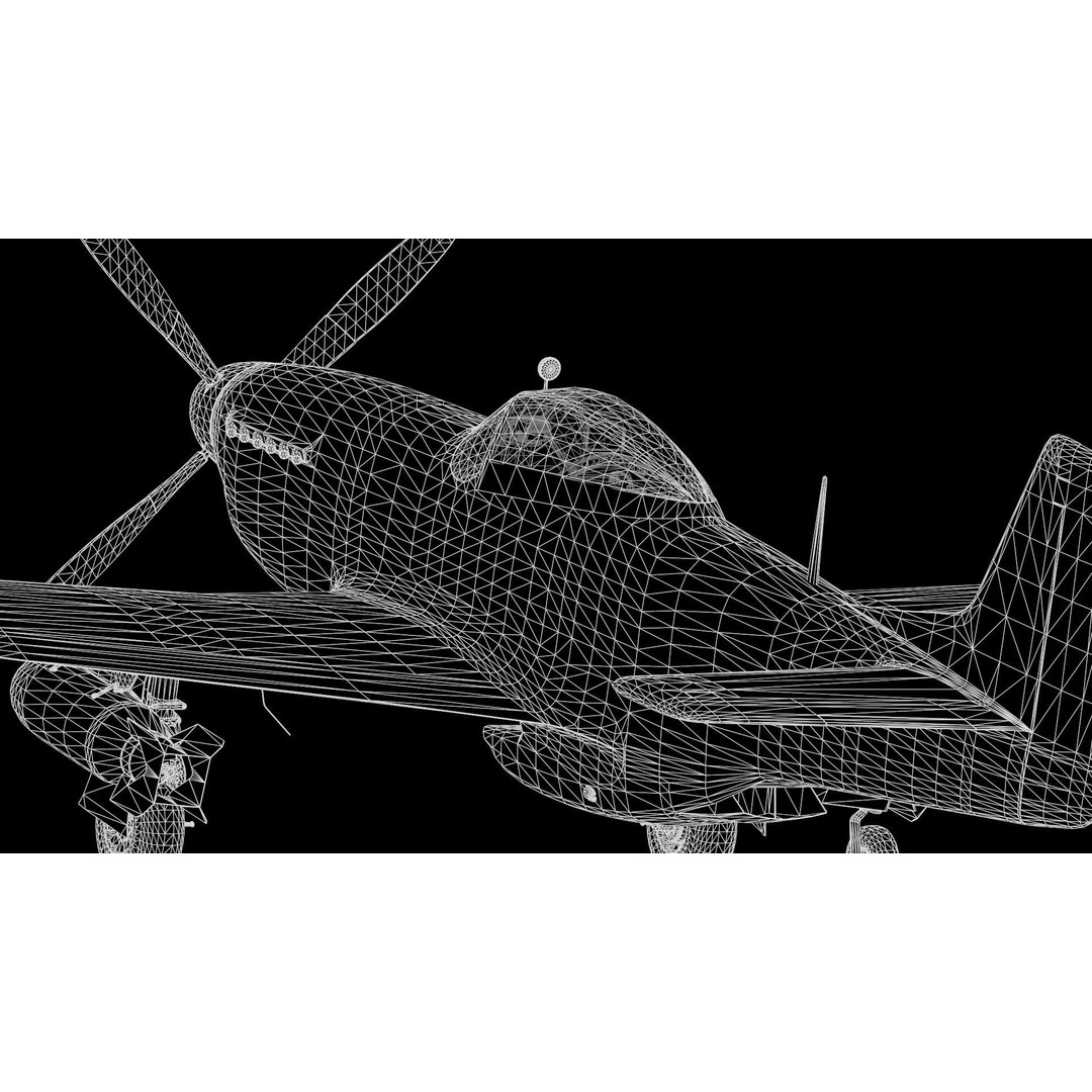 P51D Mustang 3D Model – High Poly Military Aircraft, FBX - View 28