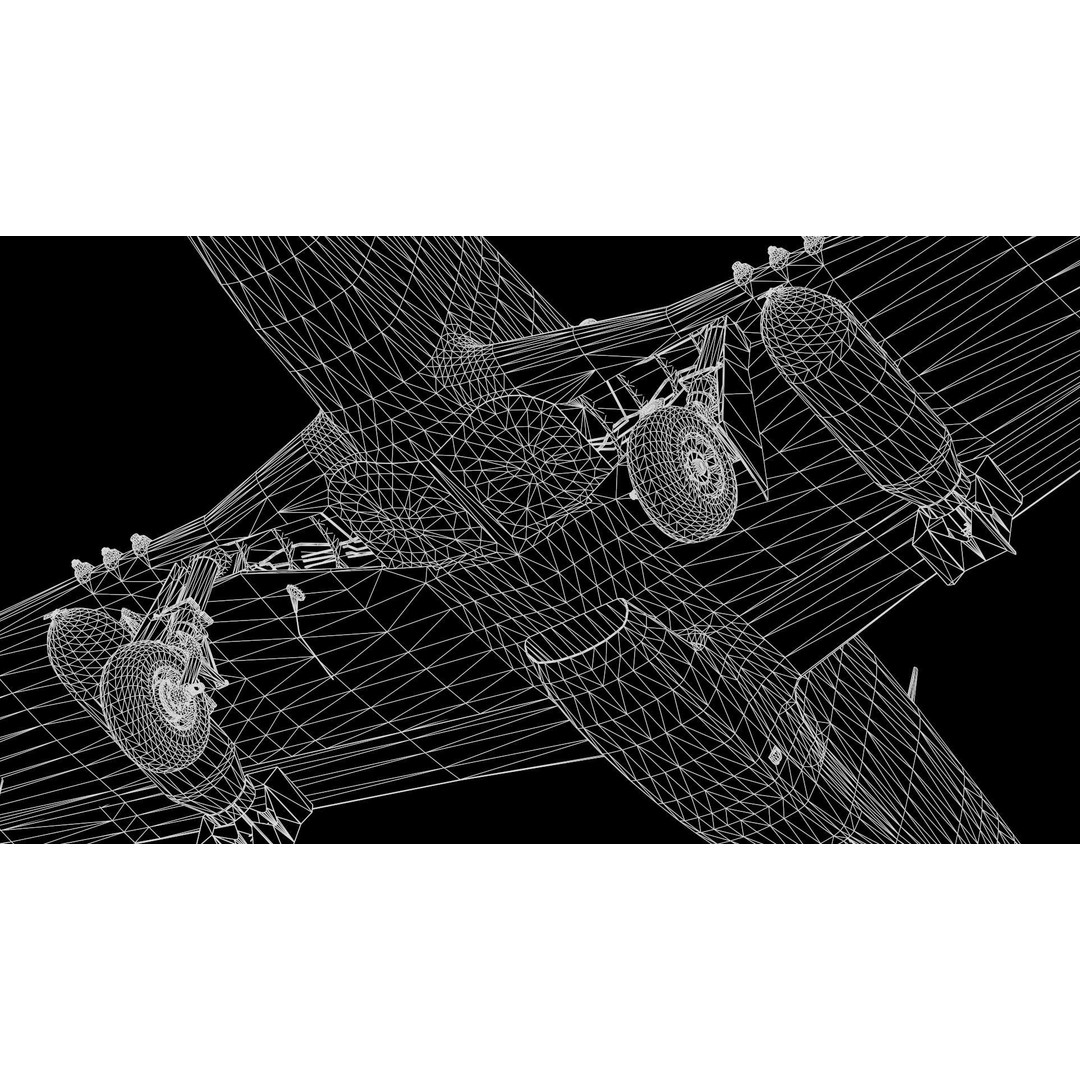 P51D Mustang 3D Model – High Poly Military Aircraft, FBX - View 29