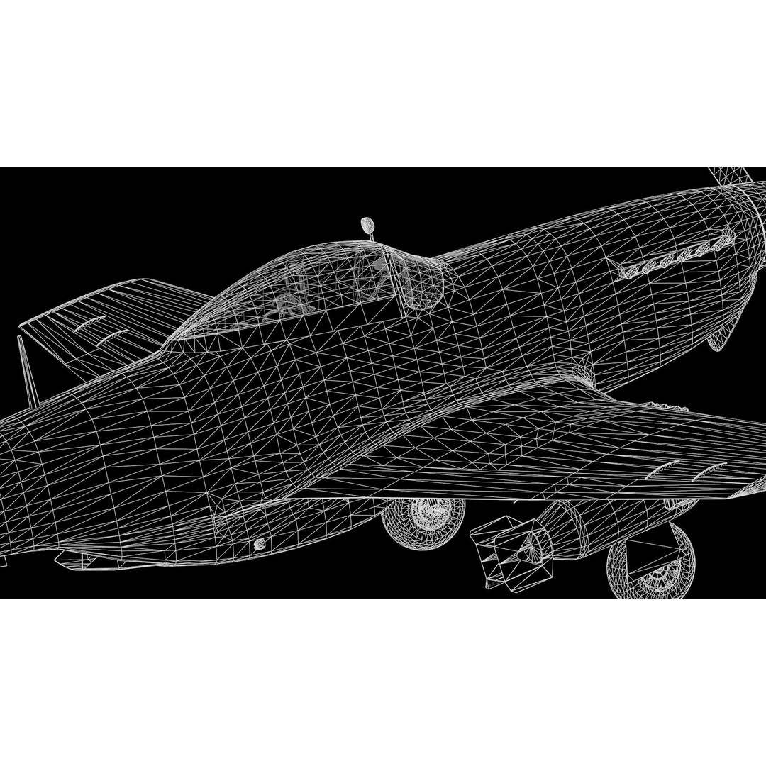 P51D Mustang 3D Model – High Poly Military Aircraft, FBX - View 30