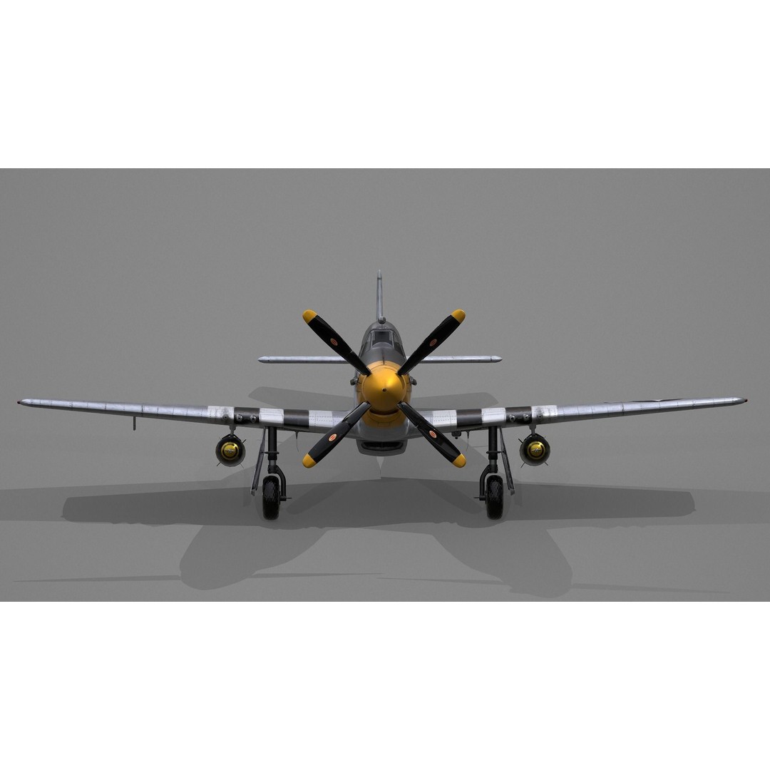 P51D Mustang 3D Model – High Poly Military Aircraft, FBX - View 4