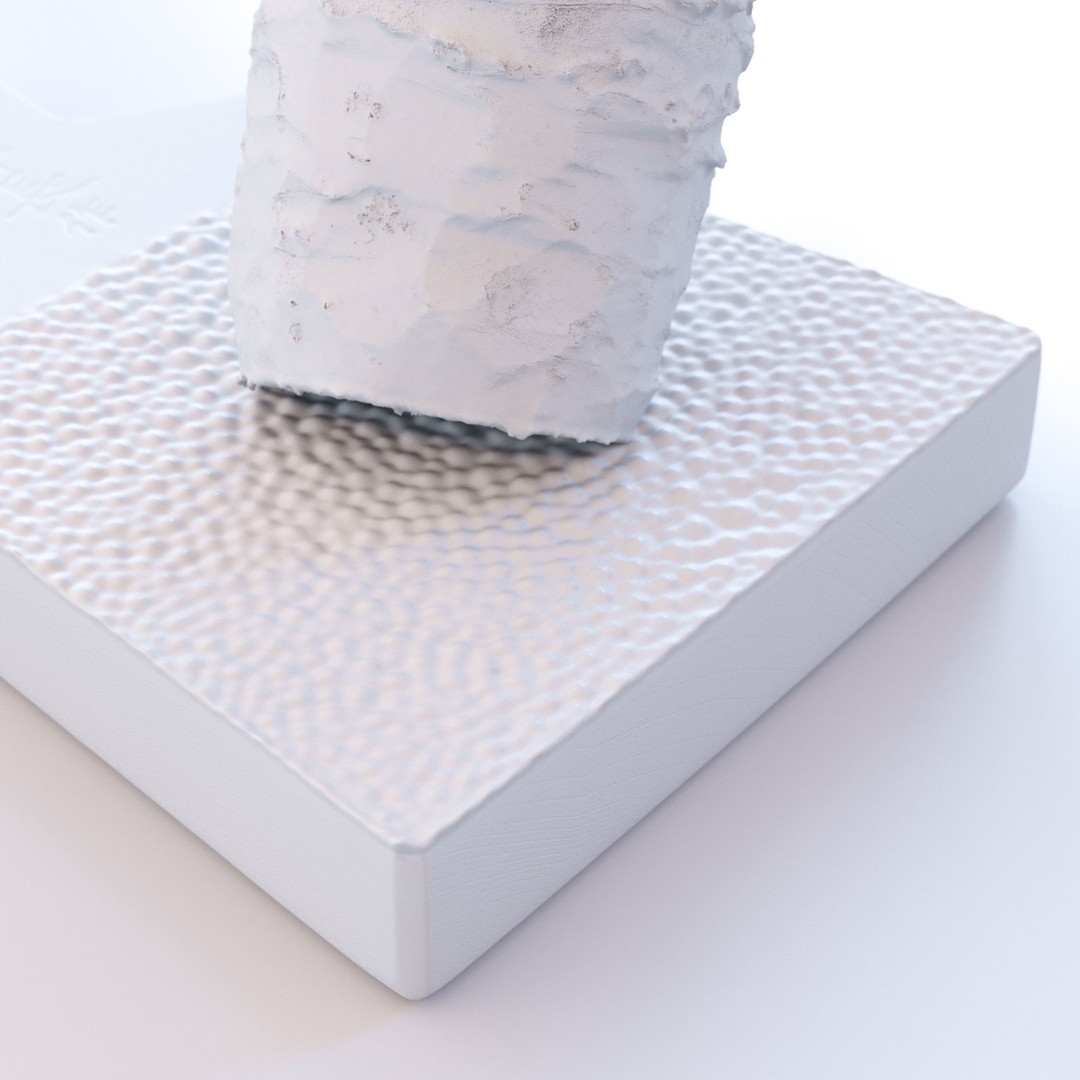 Sharkskin Wasabi Grater Set 3D Model – Low Poly Kitchenware, FBX, Blender - View 7