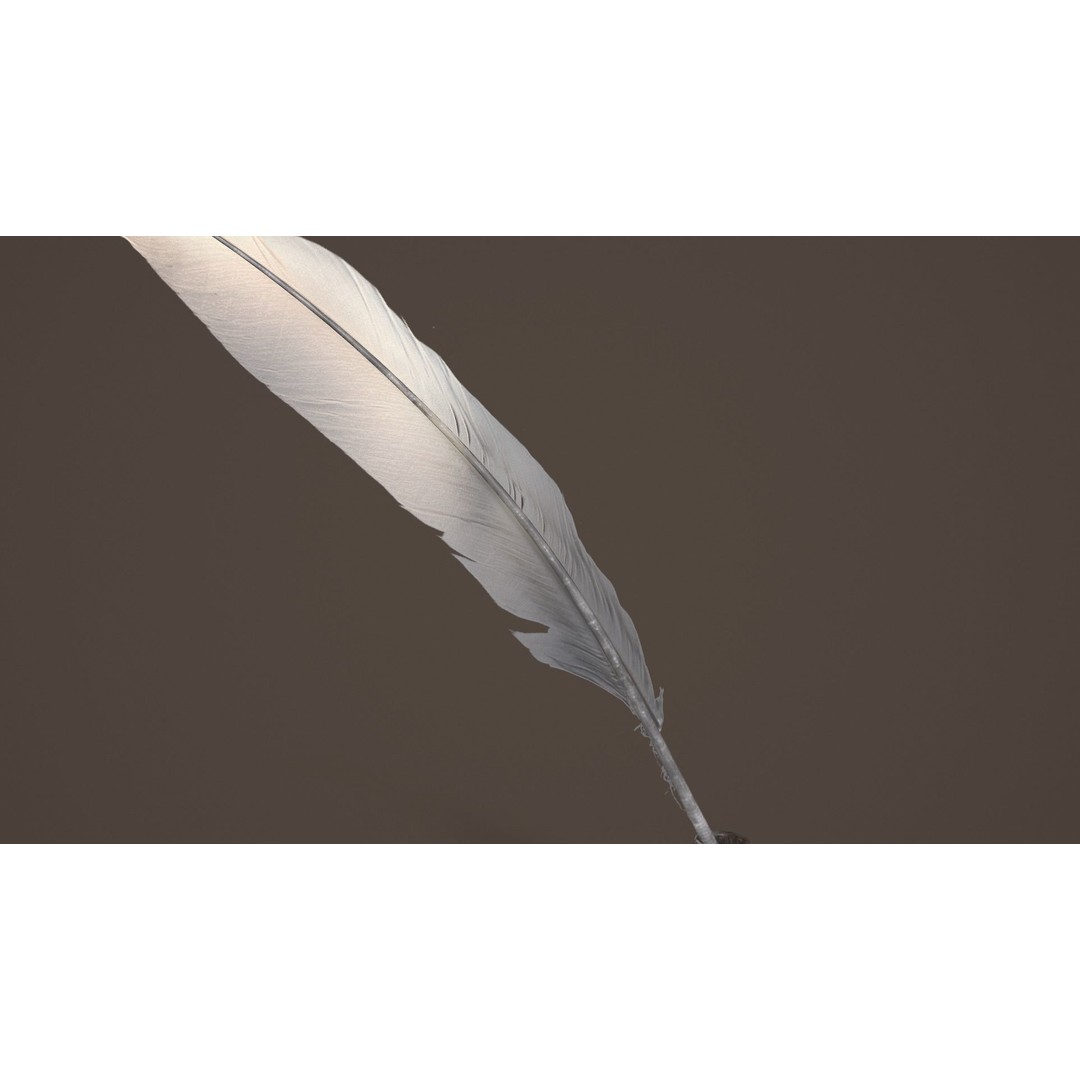 Quill and Glass Inkpot 3D Model – Low Poly PBR Game Asset, FBX - View 7