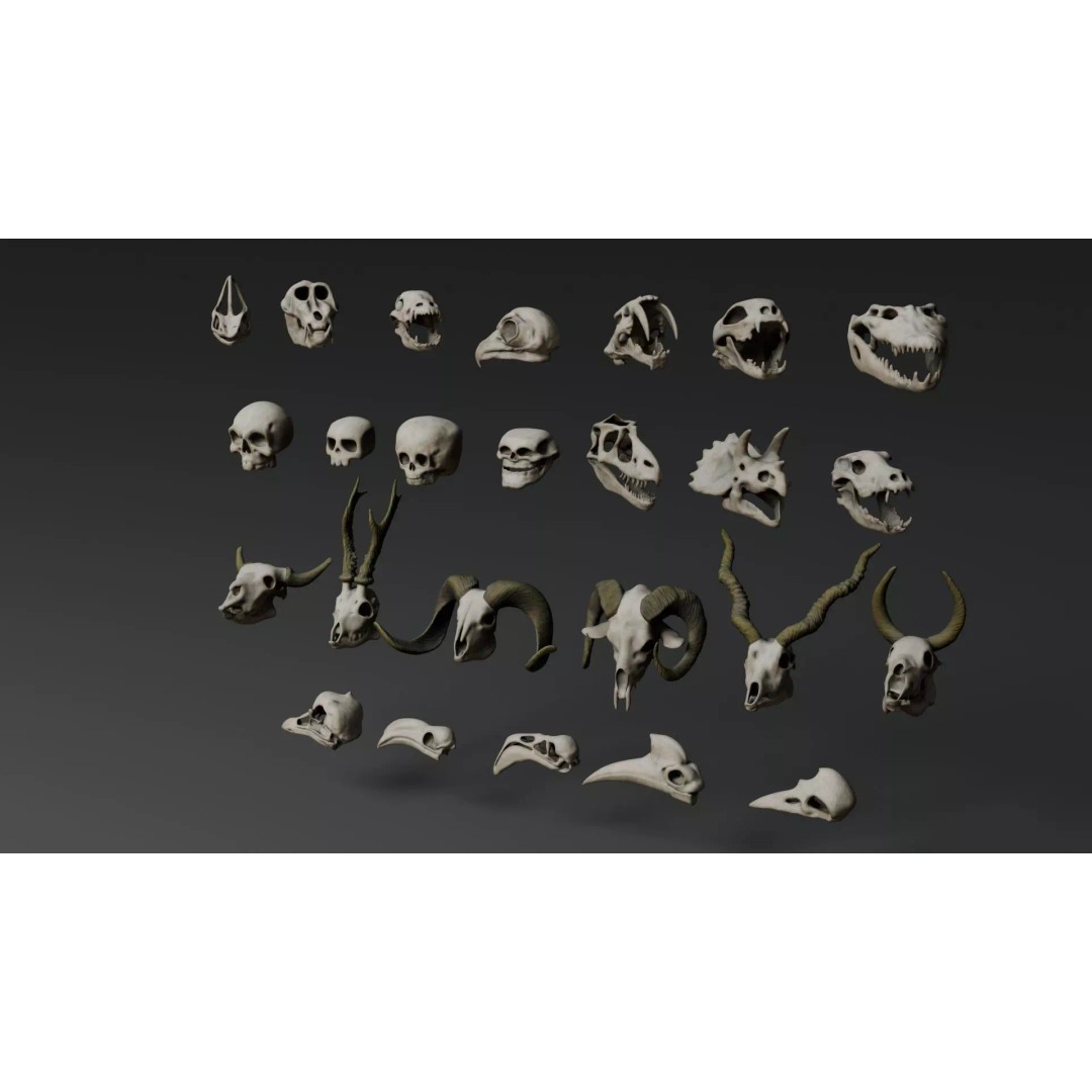 Skull 3D Model – Stylized Collection with PBR Textures, FBX/OBJ - View 10