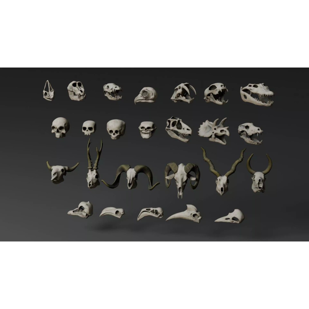 Skull 3D Model – Stylized Collection with PBR Textures, FBX/OBJ - View 11