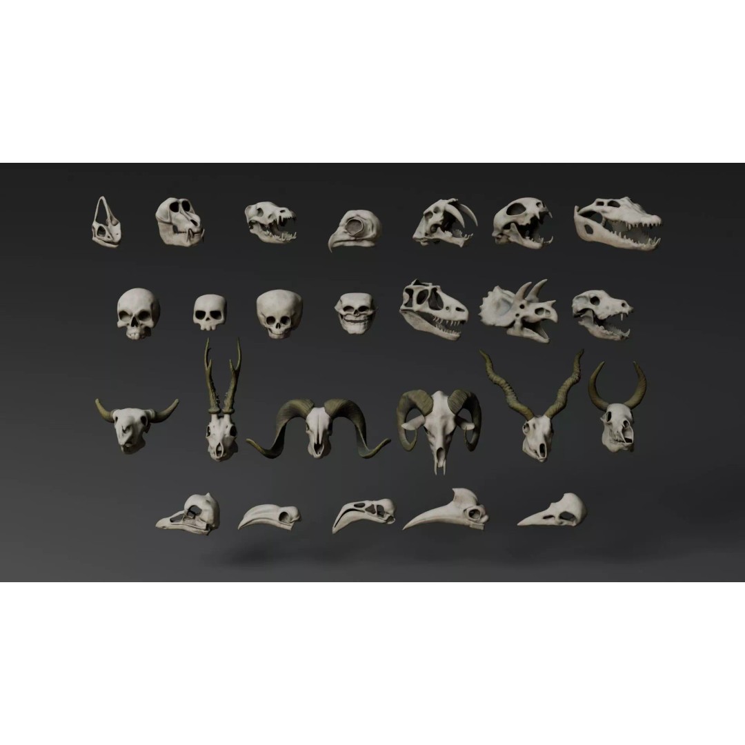 Skull 3D Model – Stylized Collection with PBR Textures, FBX/OBJ - View 2