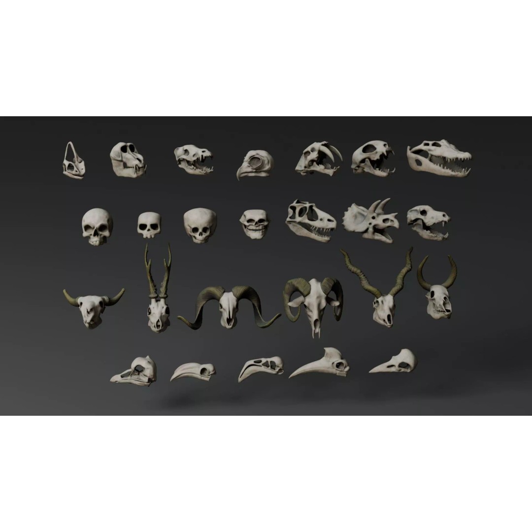 Skull 3D Model – Stylized Collection with PBR Textures, FBX/OBJ - View 3