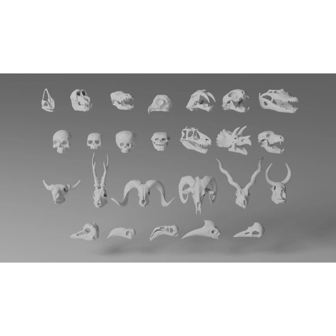 Skull 3D Model – Stylized Collection with PBR Textures, FBX/OBJ - View 4