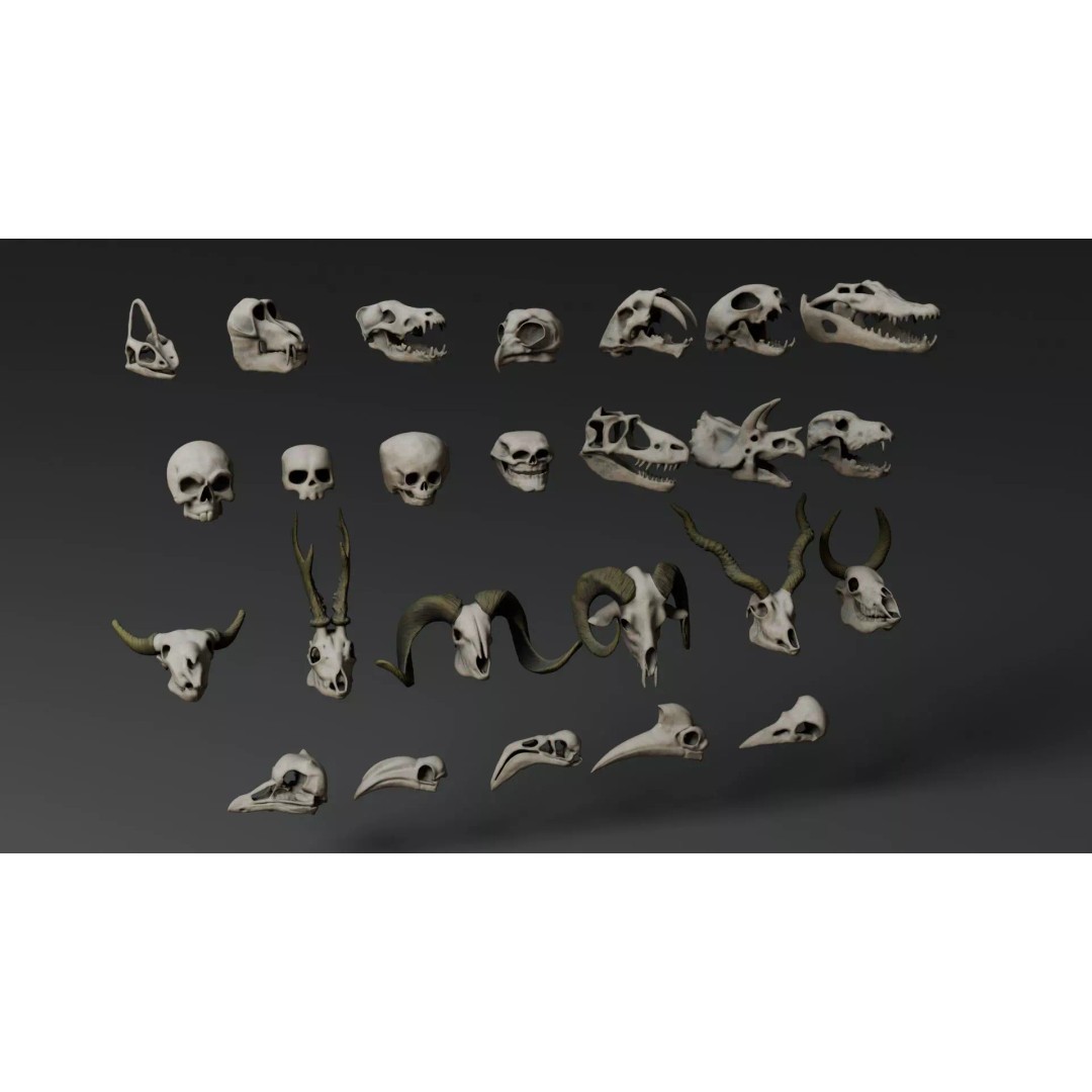 Skull 3D Model – Stylized Collection with PBR Textures, FBX/OBJ - View 6