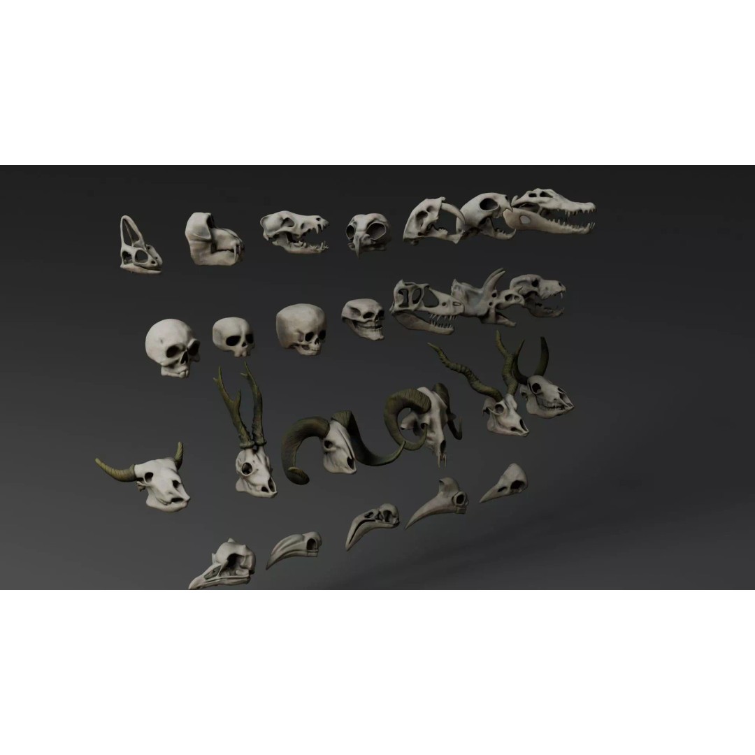 Skull 3D Model – Stylized Collection with PBR Textures, FBX/OBJ - View 7