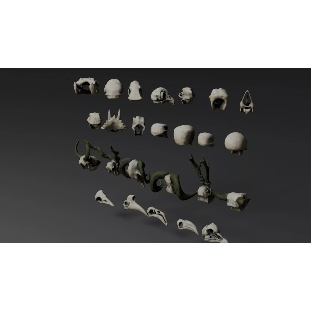 Skull 3D Model – Stylized Collection with PBR Textures, FBX/OBJ - View 8