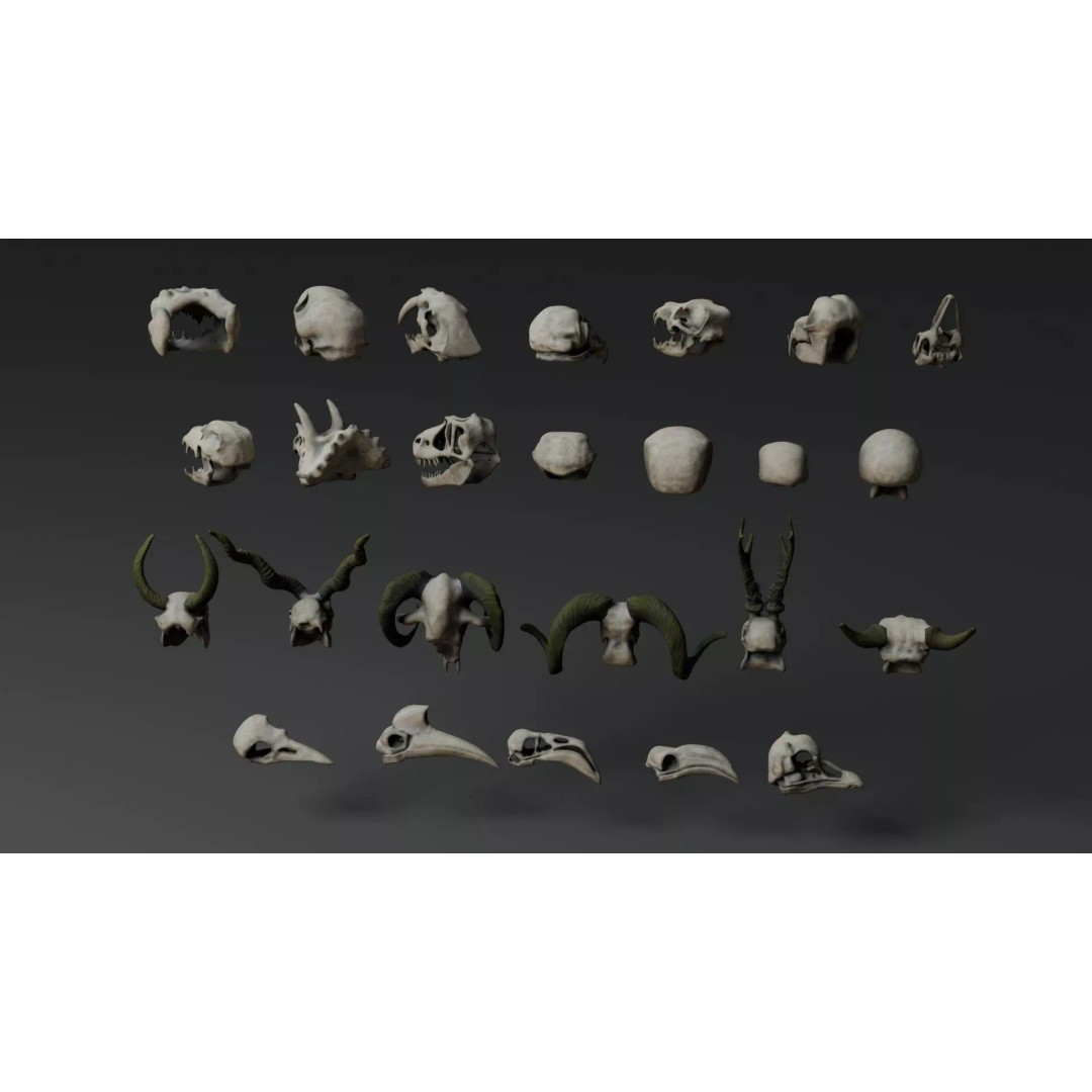 Skull 3D Model – Stylized Collection with PBR Textures, FBX/OBJ - View 9
